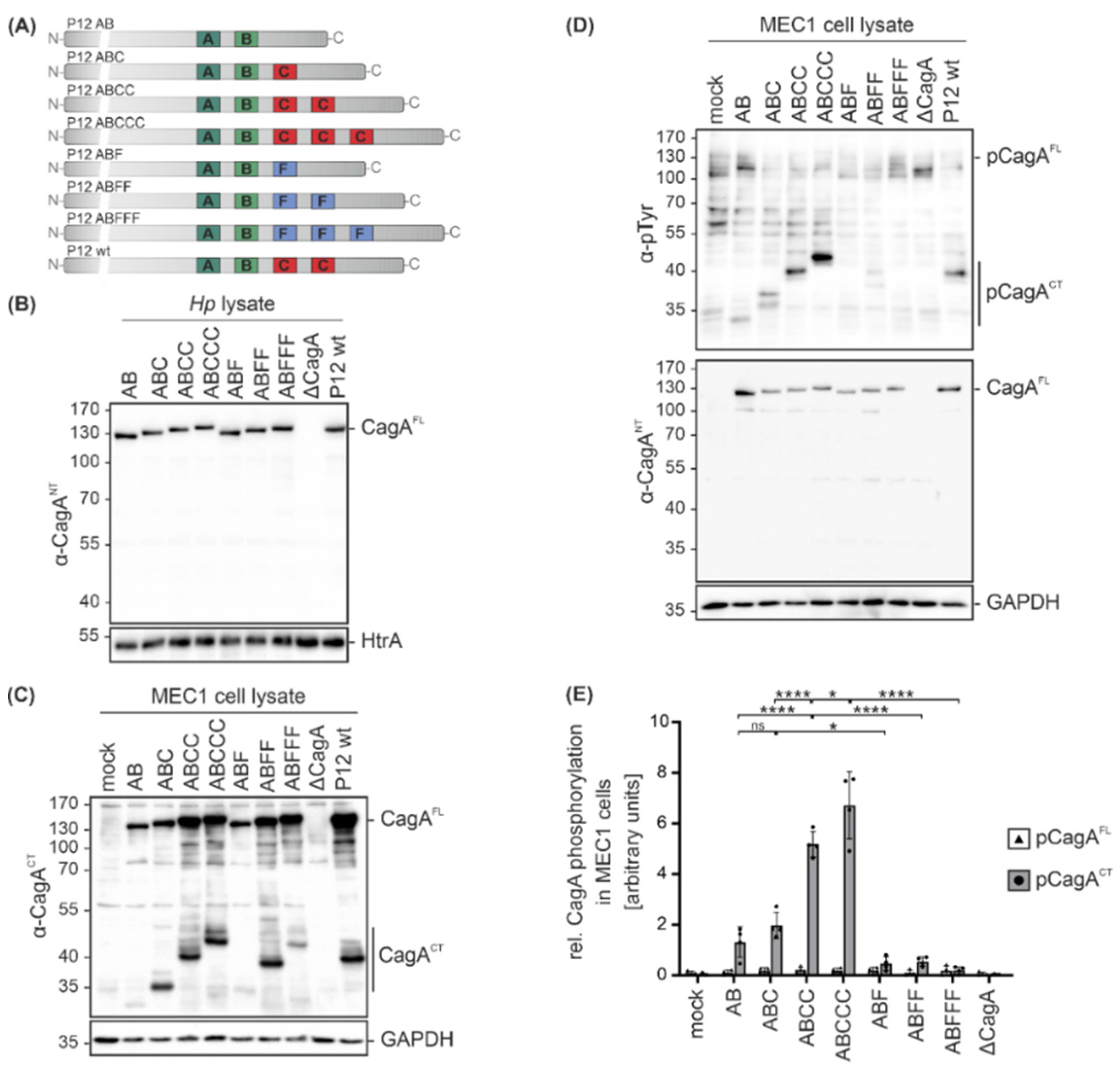 Toxins 13 00592 g003