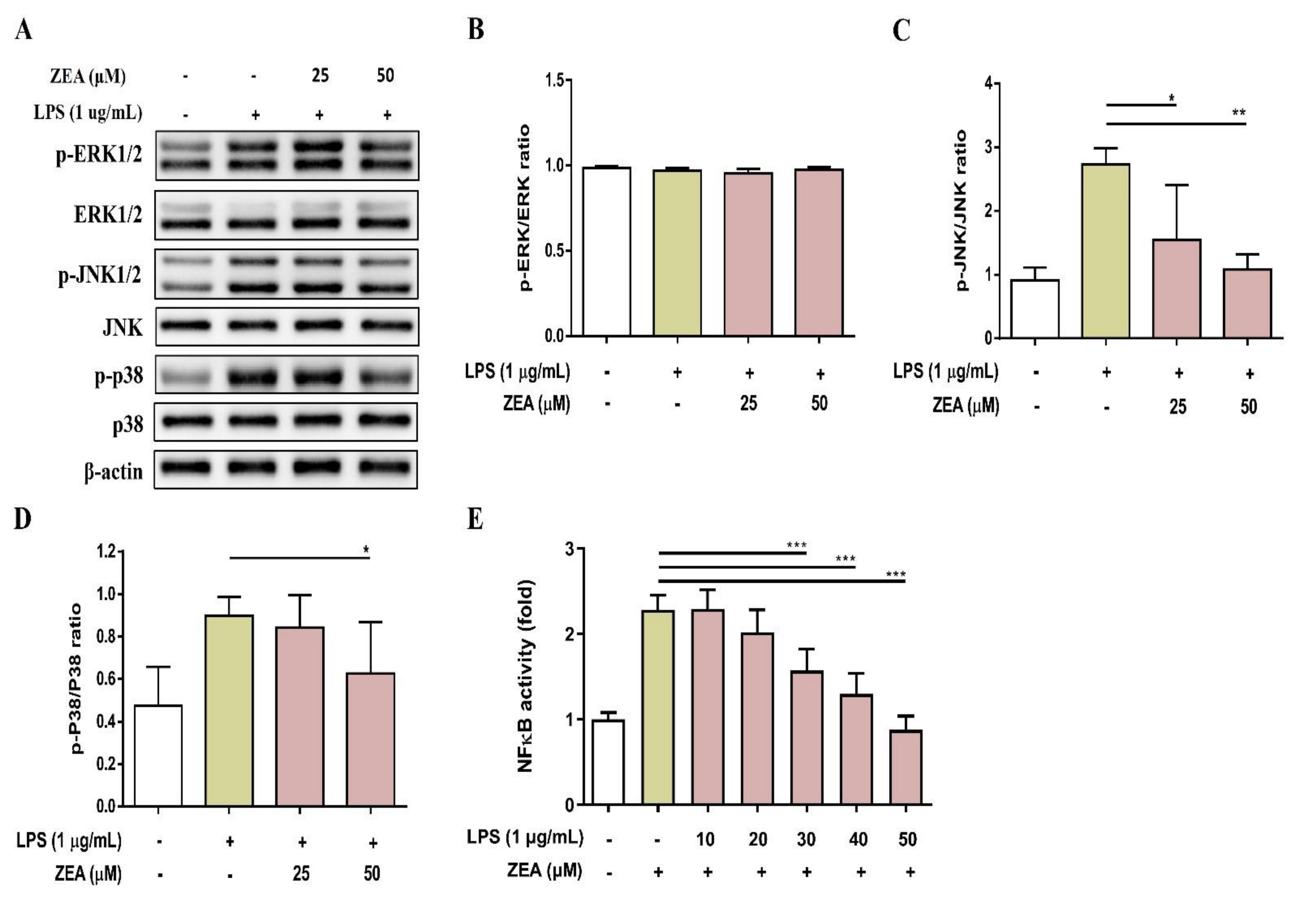Toxins 13 00593 g003