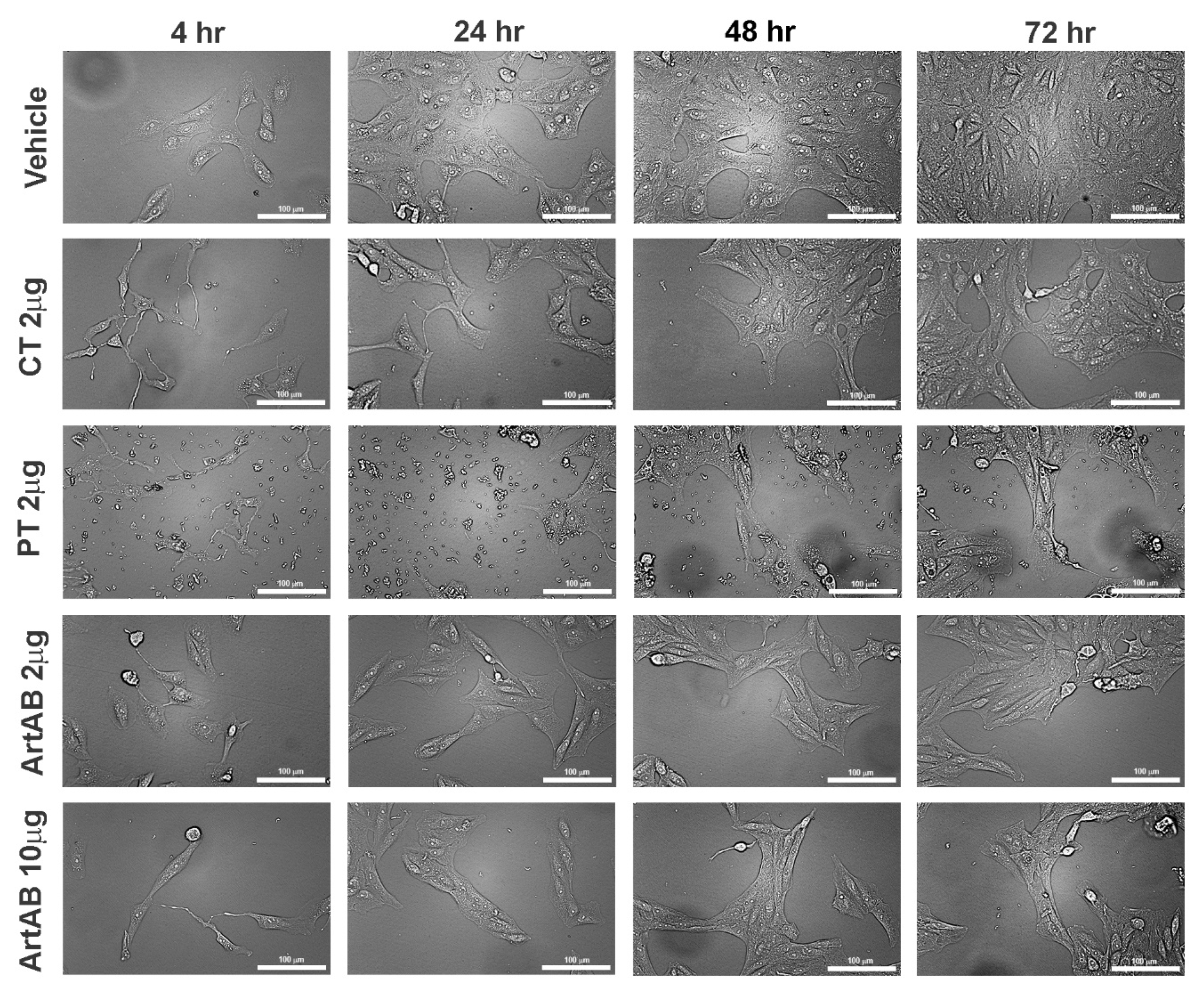 Toxins 13 00599 g006 550