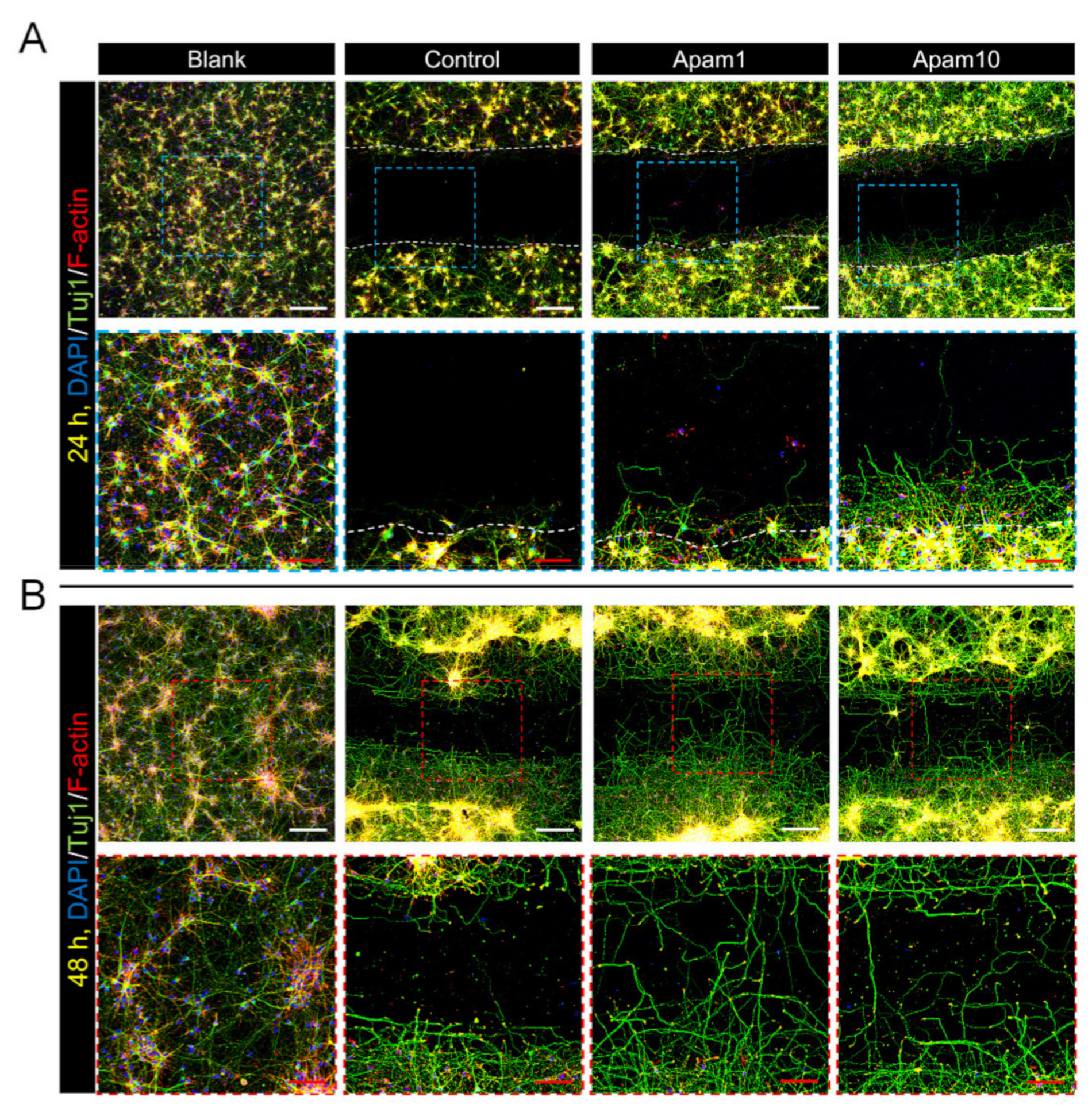 Toxins 13 00603 g003a