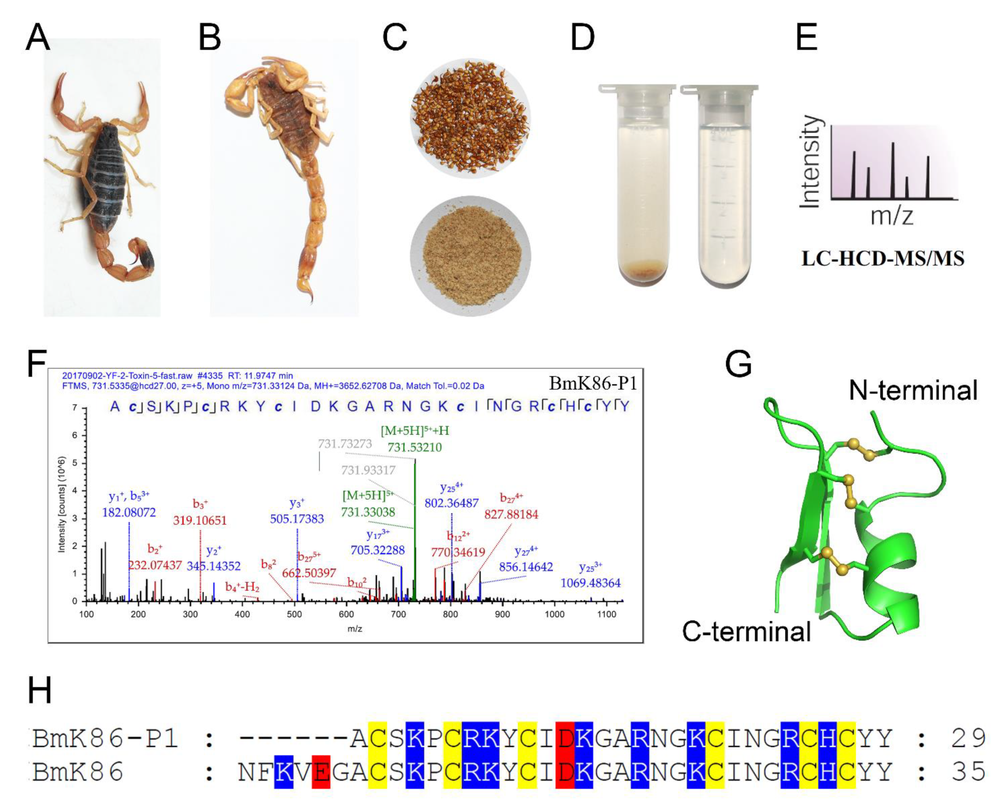 Toxins 13 00610 g001