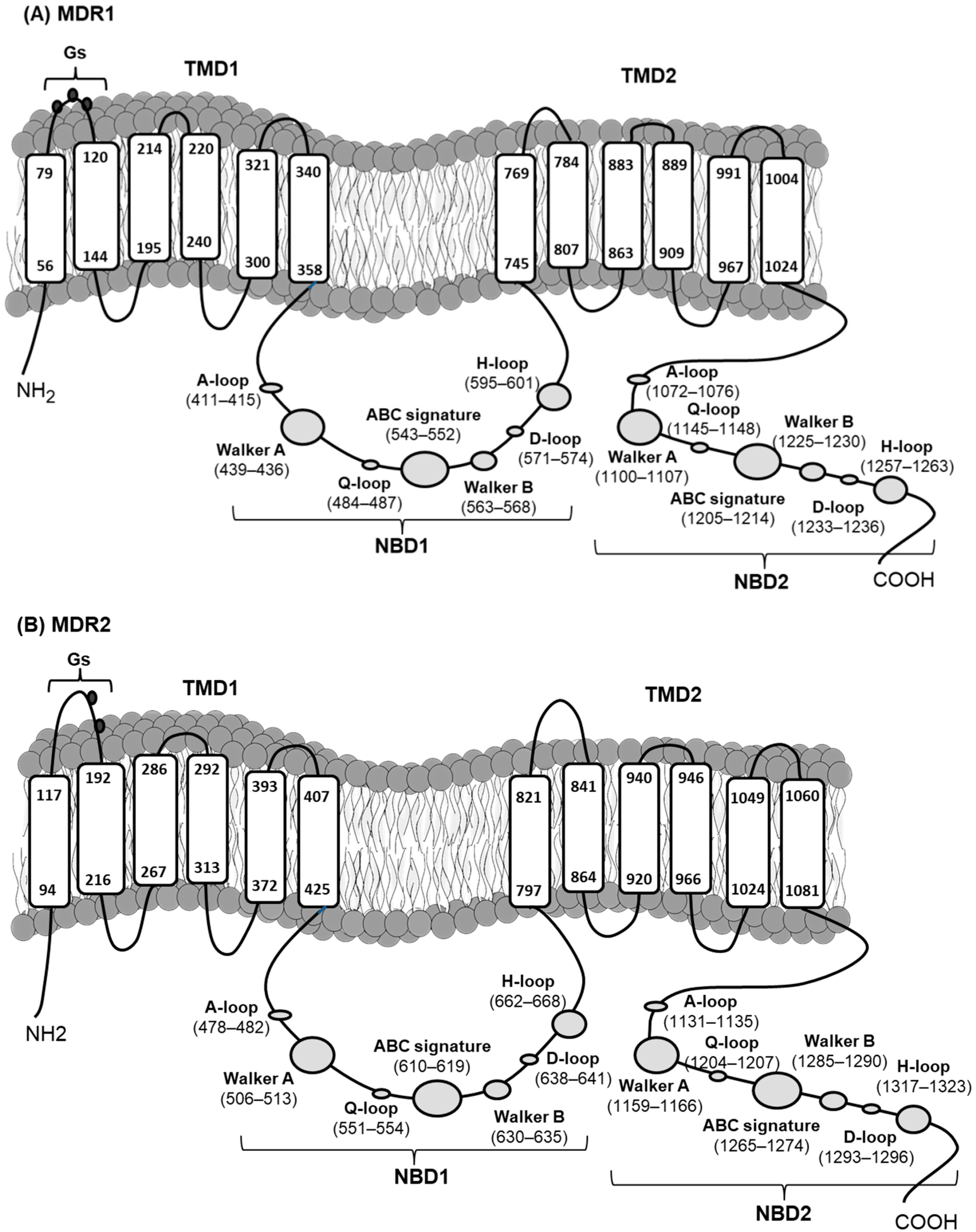 Toxins 13 00614 g003 550