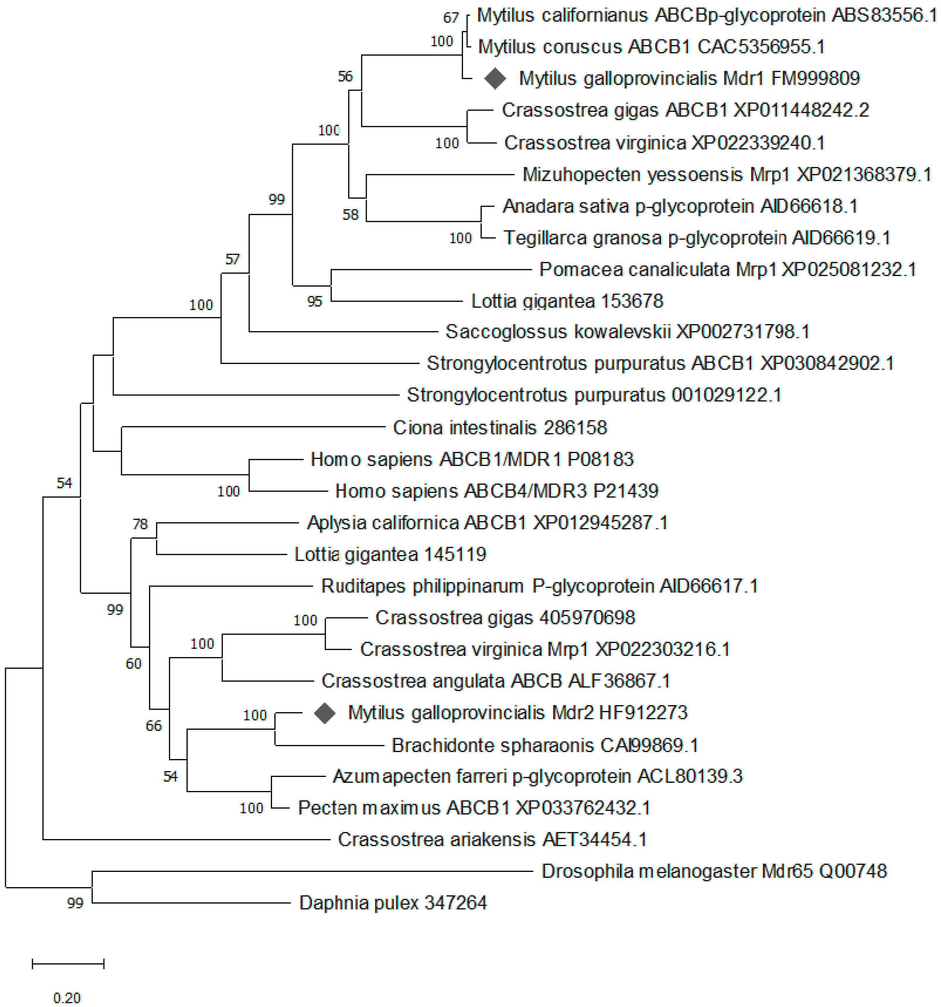 Toxins 13 00614 g004 550