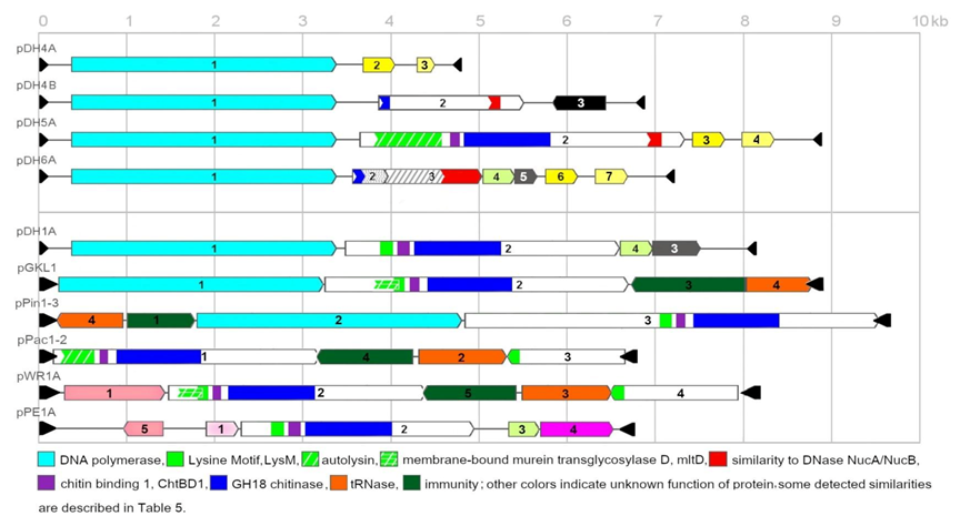 Toxins 13 00615 g003