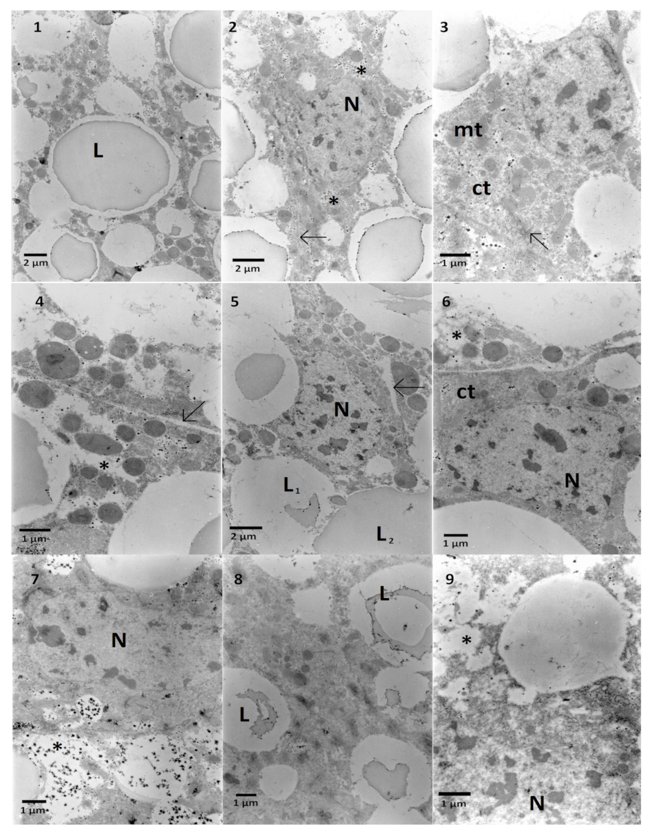 Toxins 13 00617 g005 550