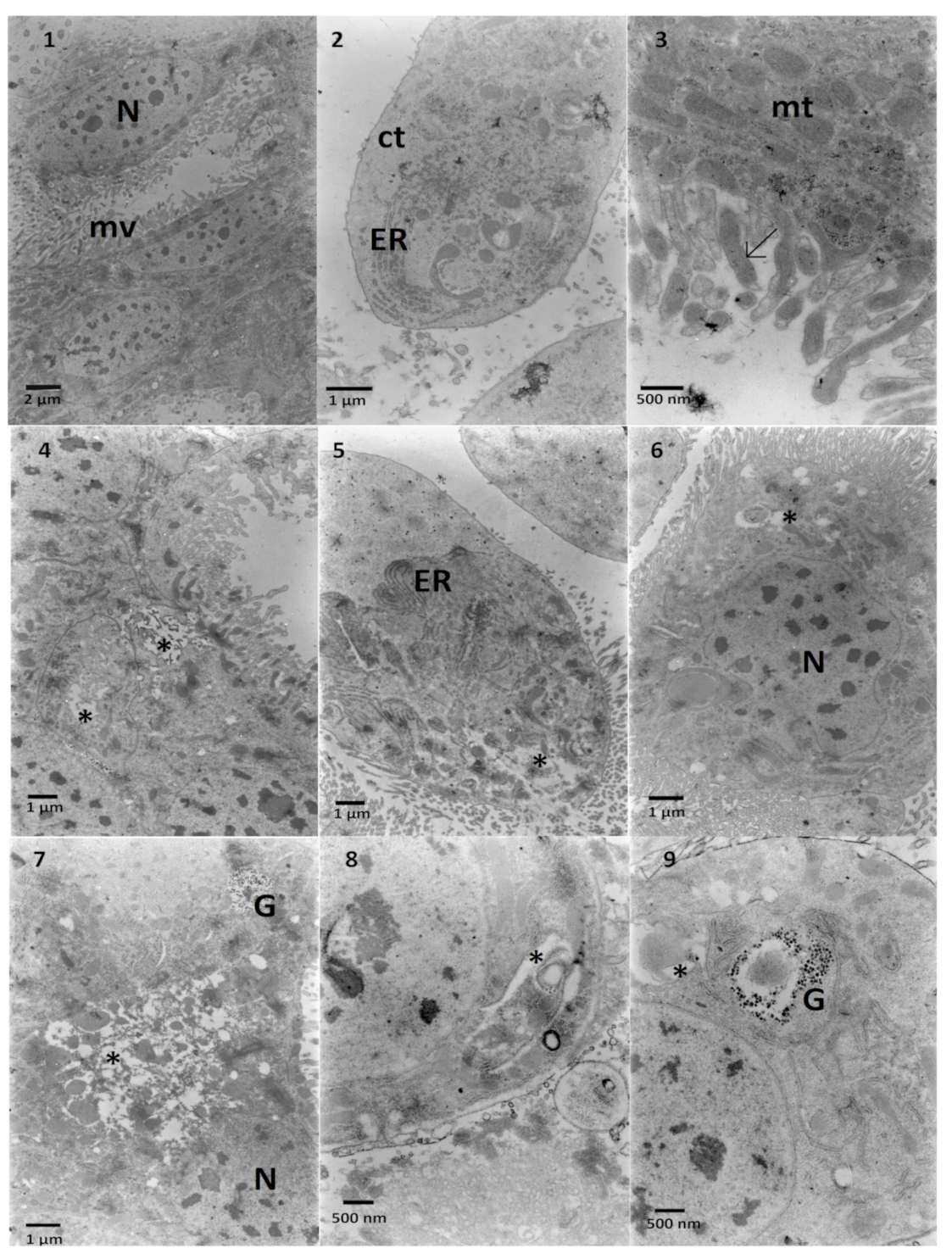 Toxins 13 00617 g006 550