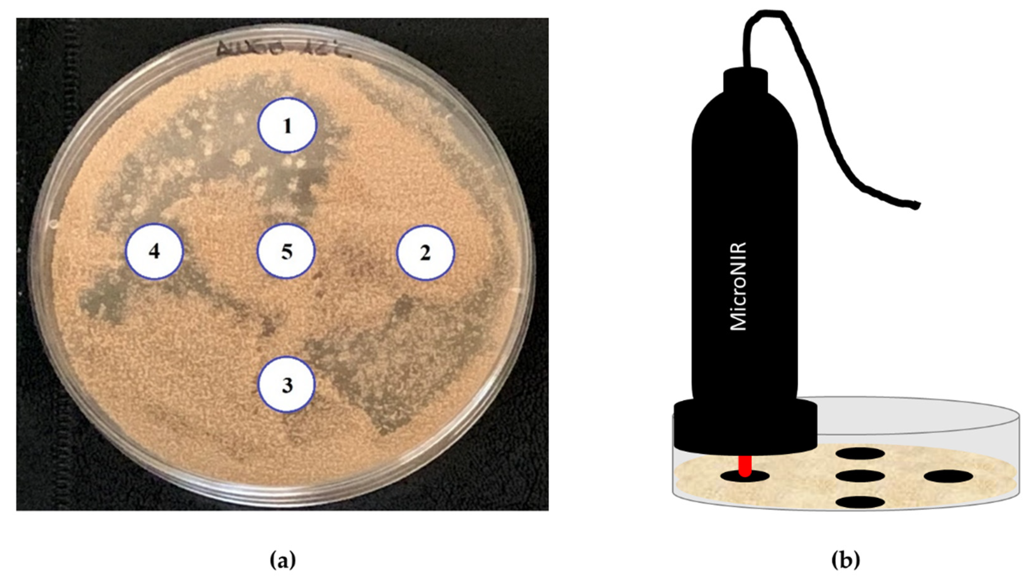 Toxins 13 00620 g003