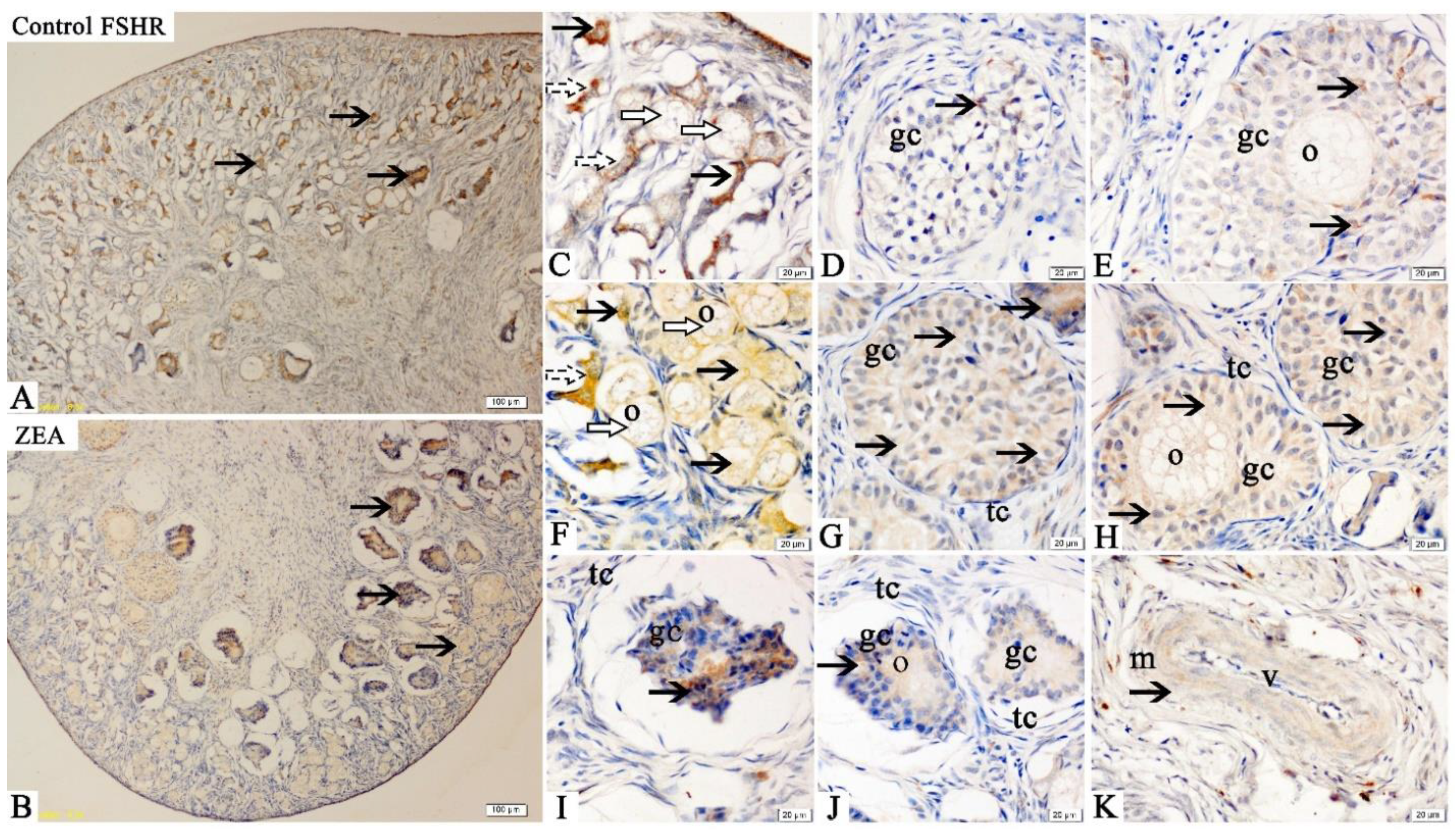 Toxins 13 00626 g001 550
