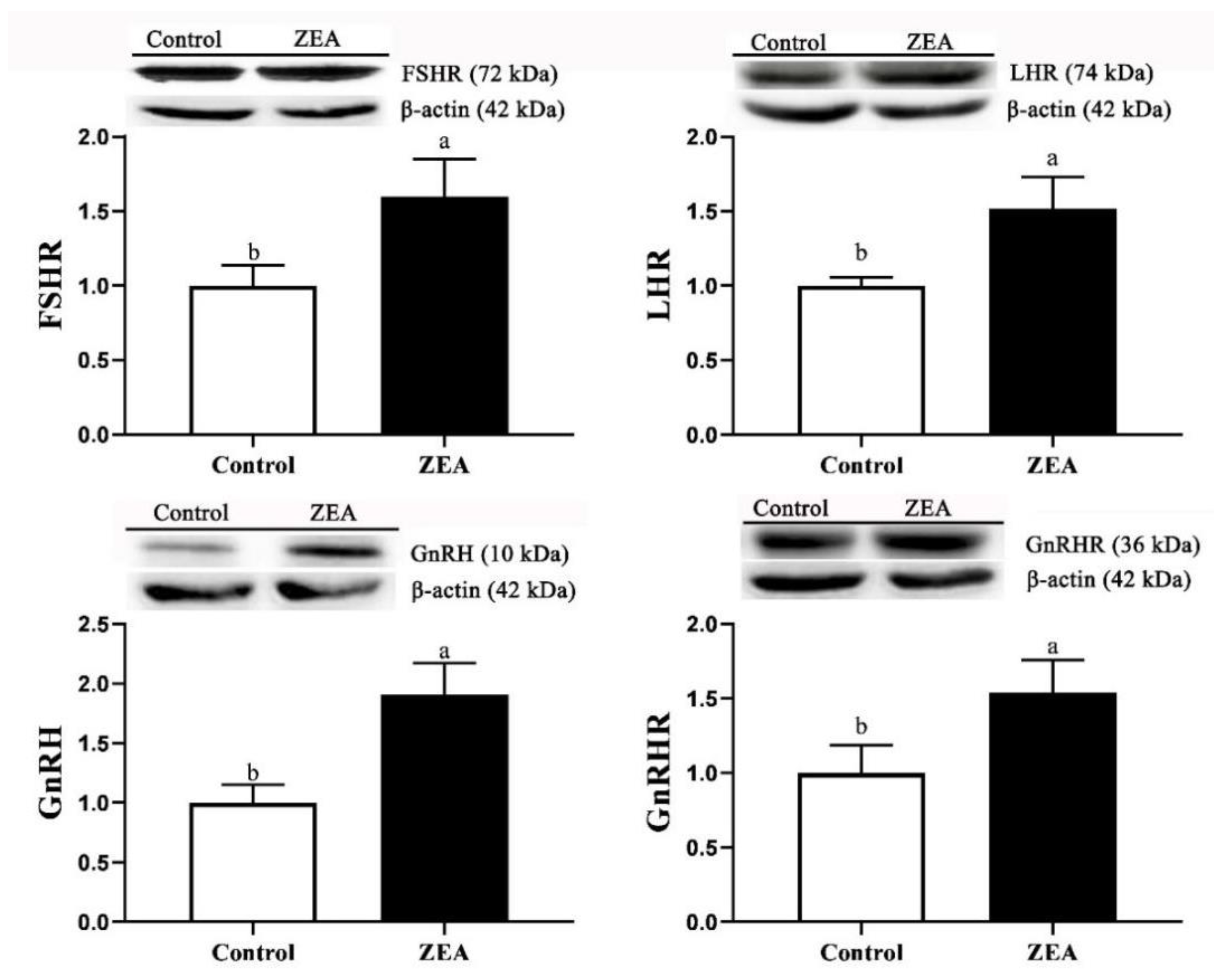 Toxins 13 00626 g005 550