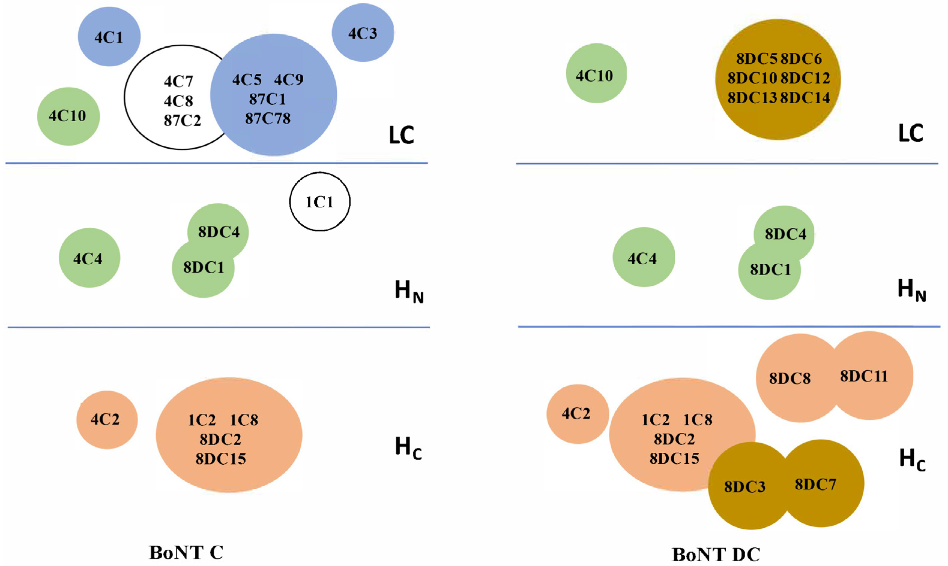 Toxins 13 00641 g003