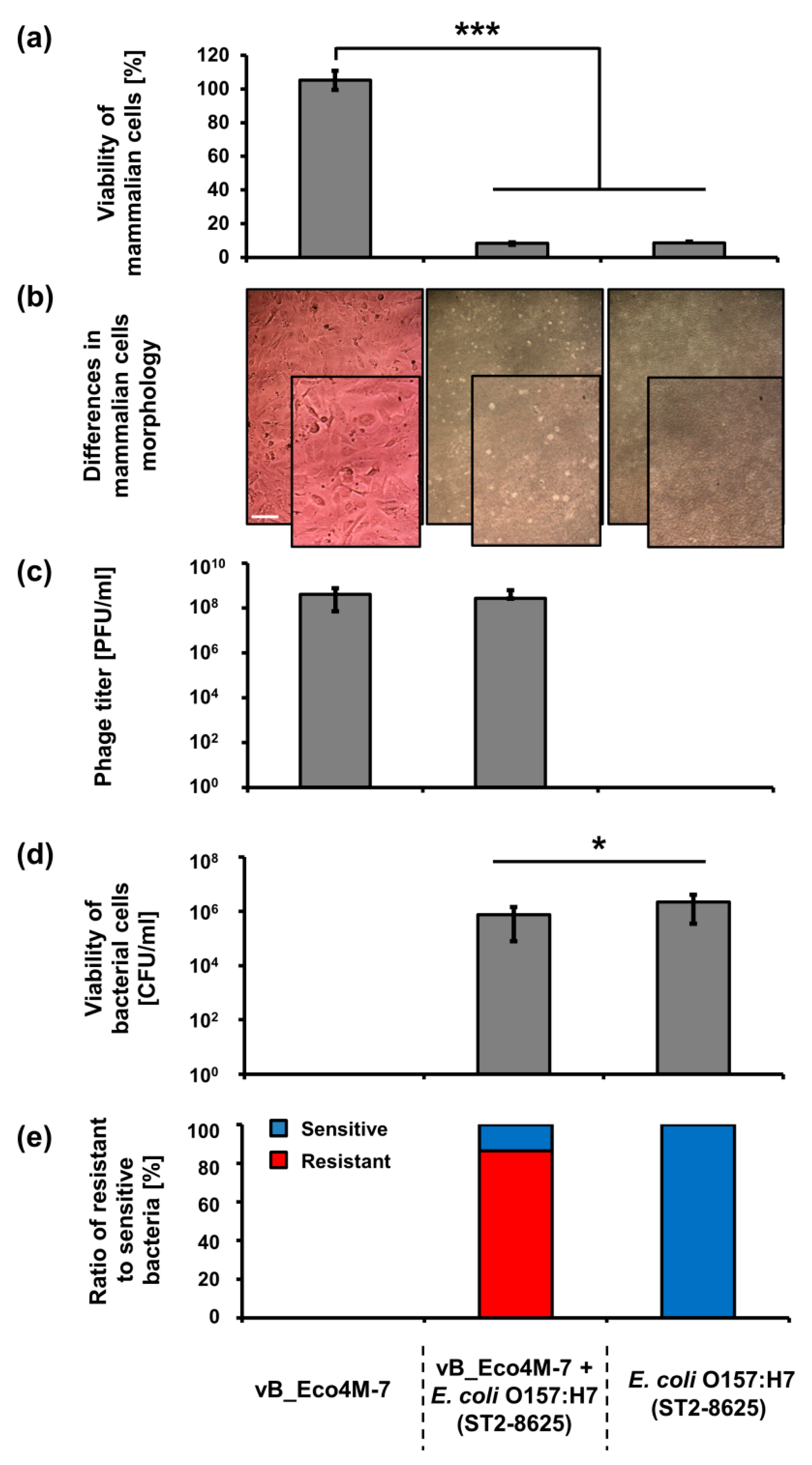 Toxins 13 00644 g003 550