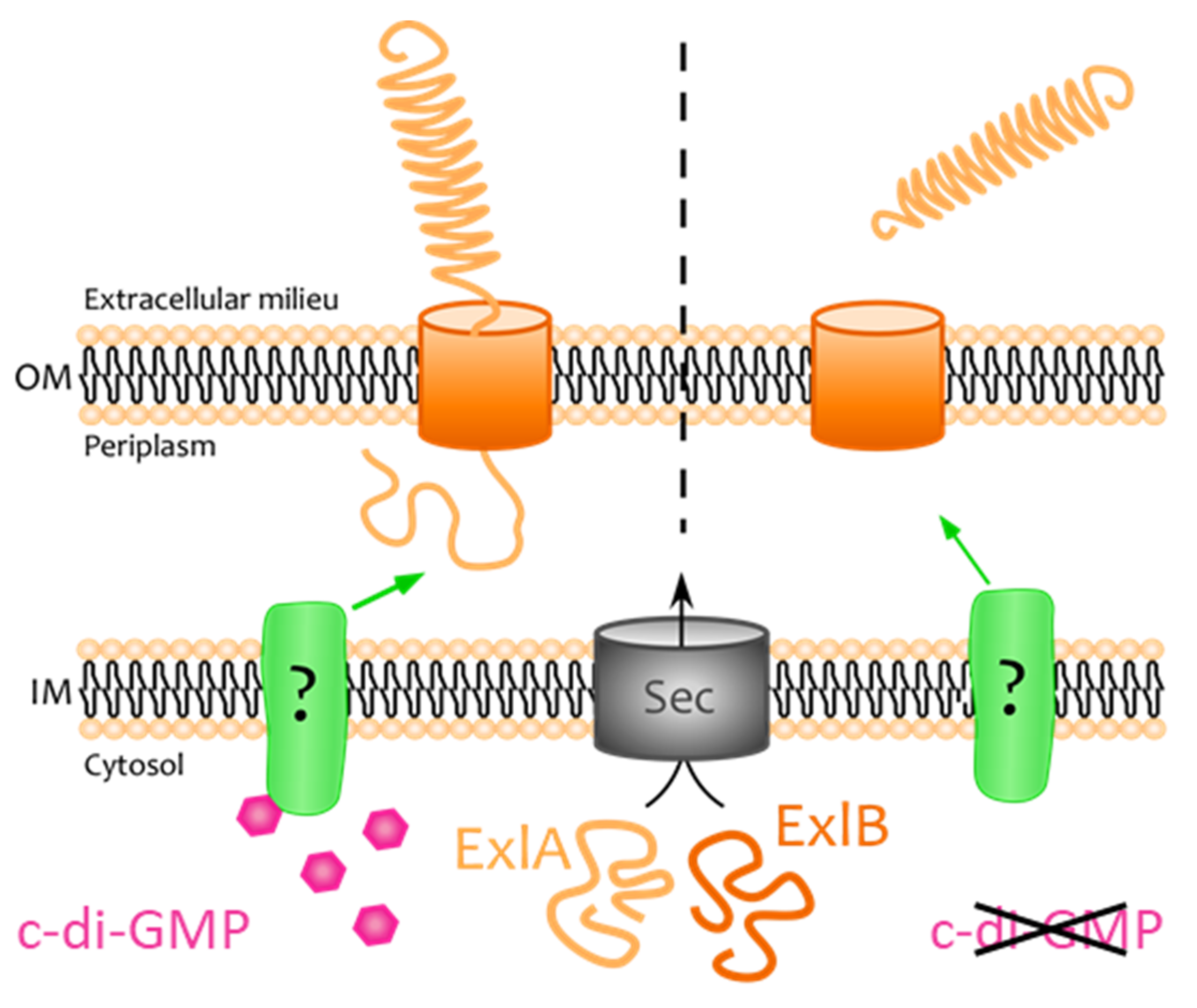 Toxins 13 00645 g006 550
