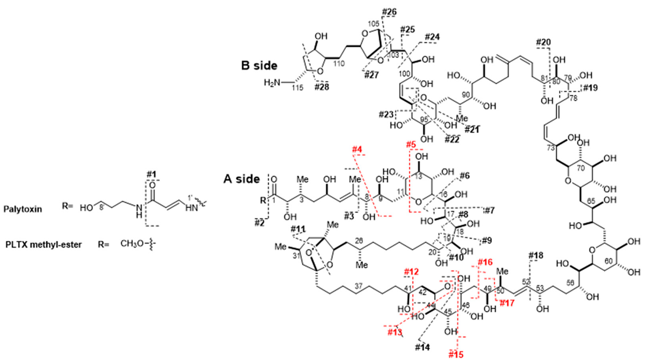 Toxins 13 00650 i001