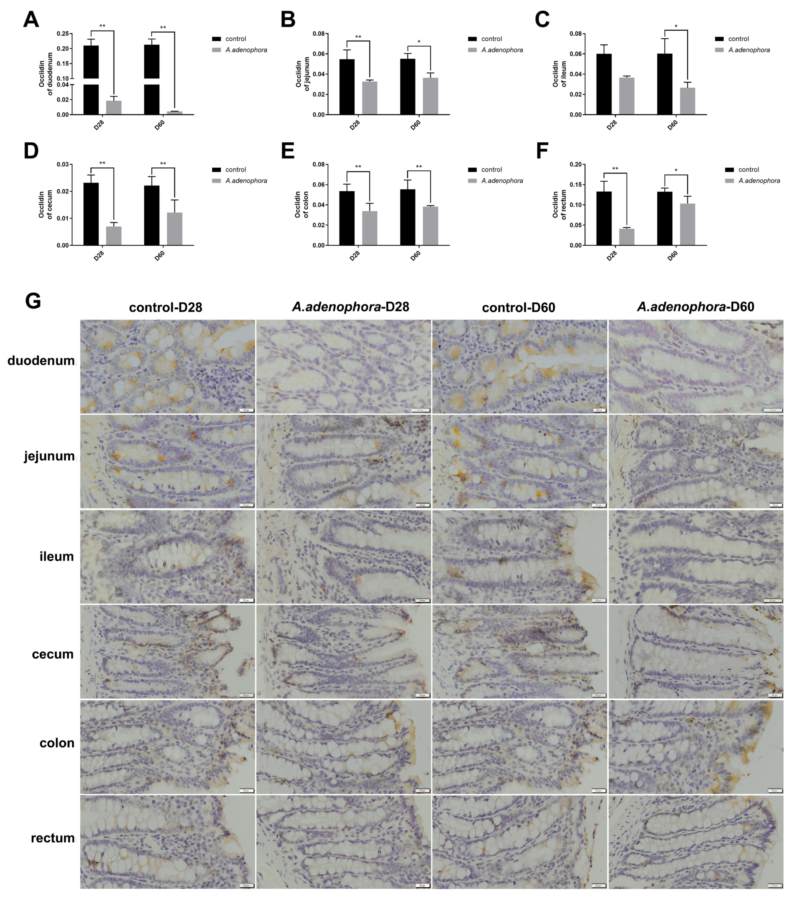 Toxins 13 00651 g004 550