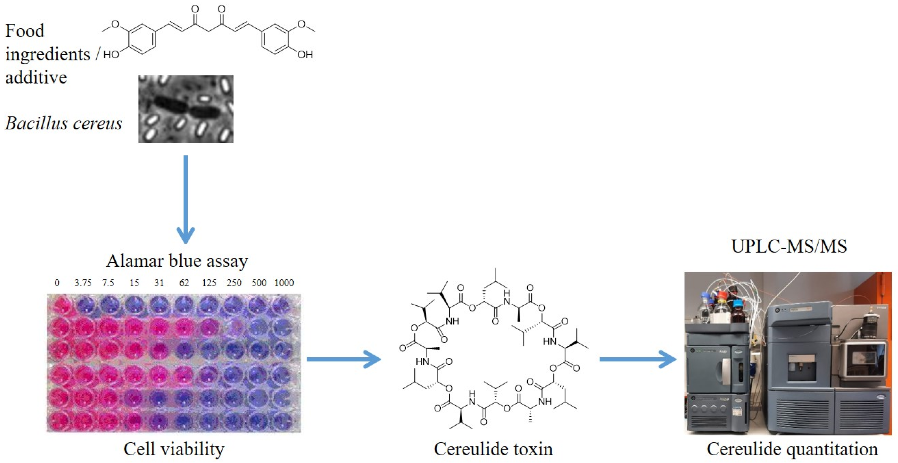 Toxins 13 00672 g001