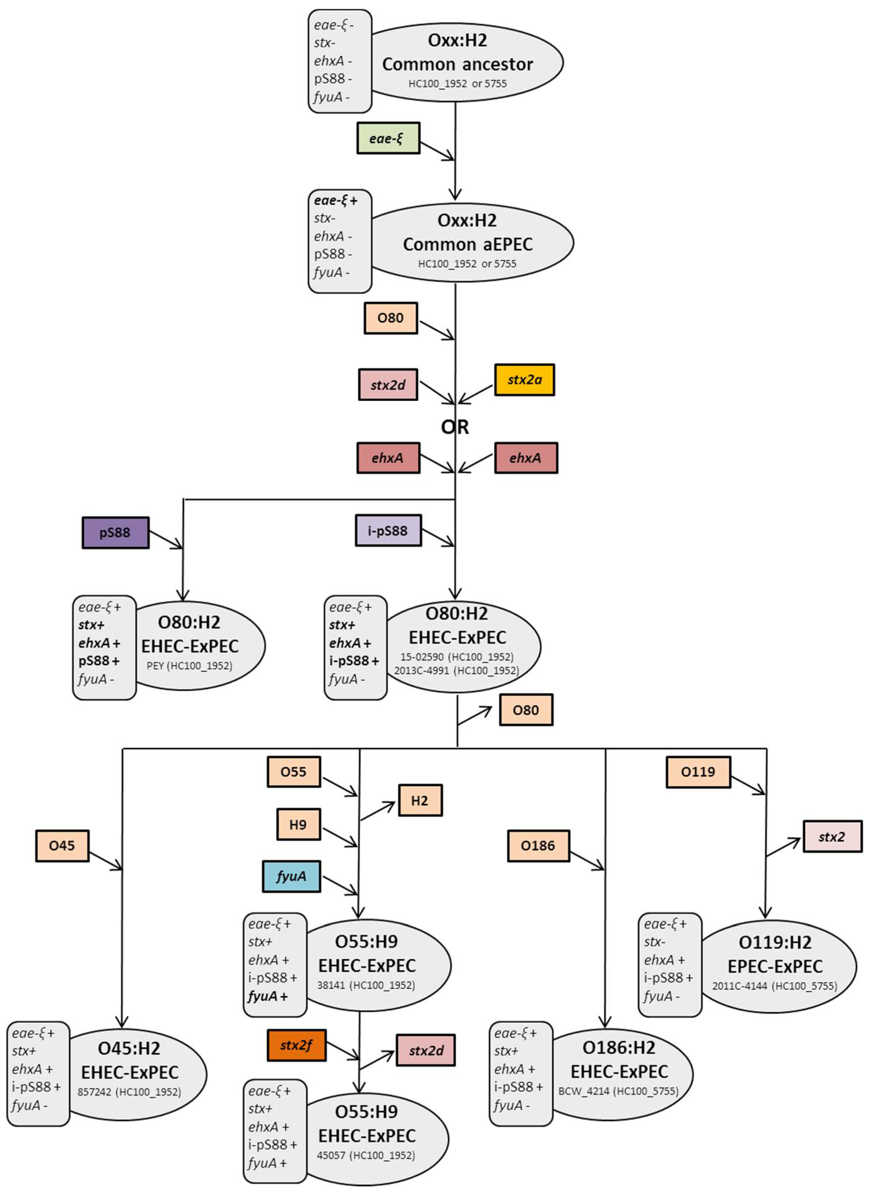 Toxins 13 00686 g003