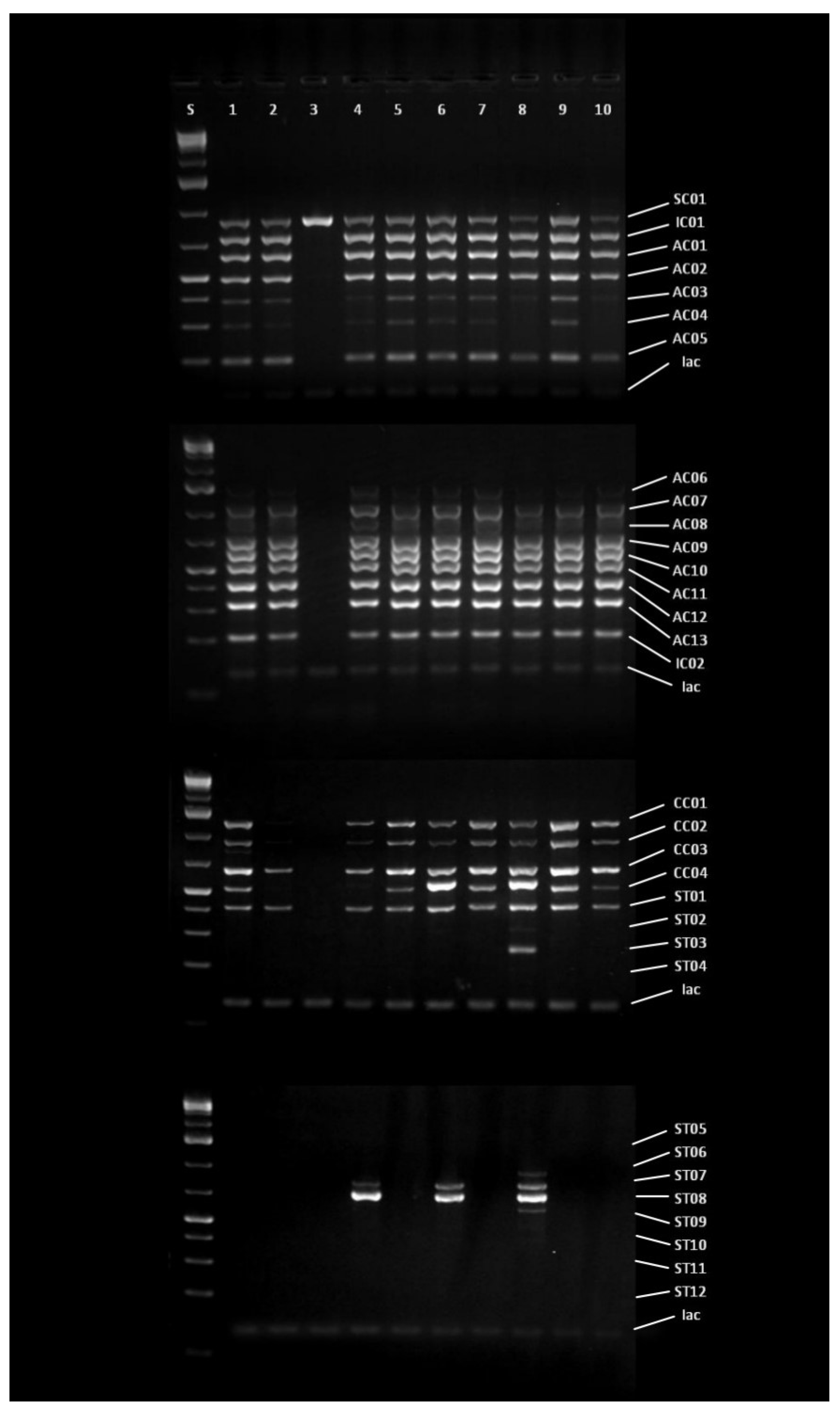 Toxins 13 00687 g001 550