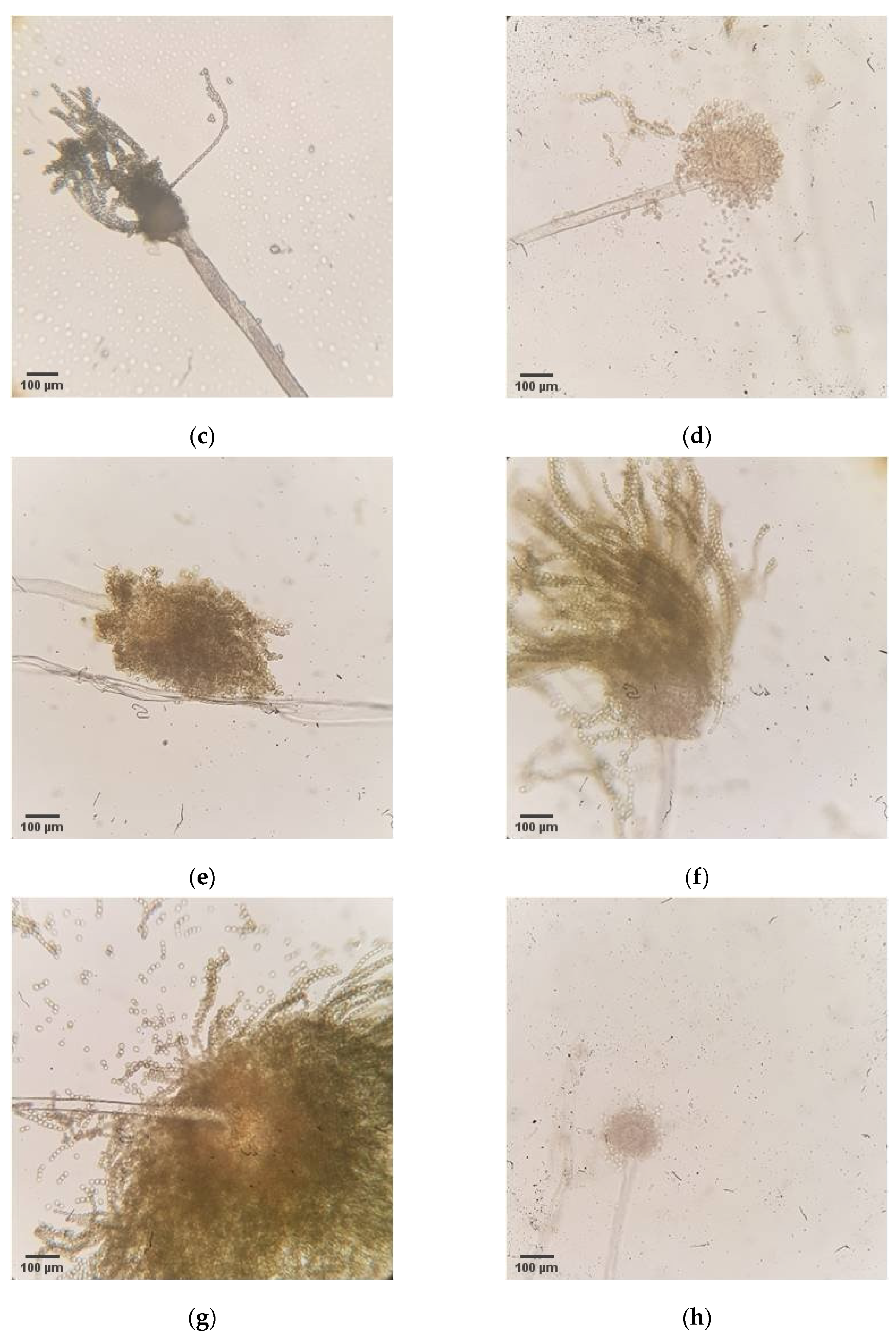 Toxins 13 00687 g0a2b 550