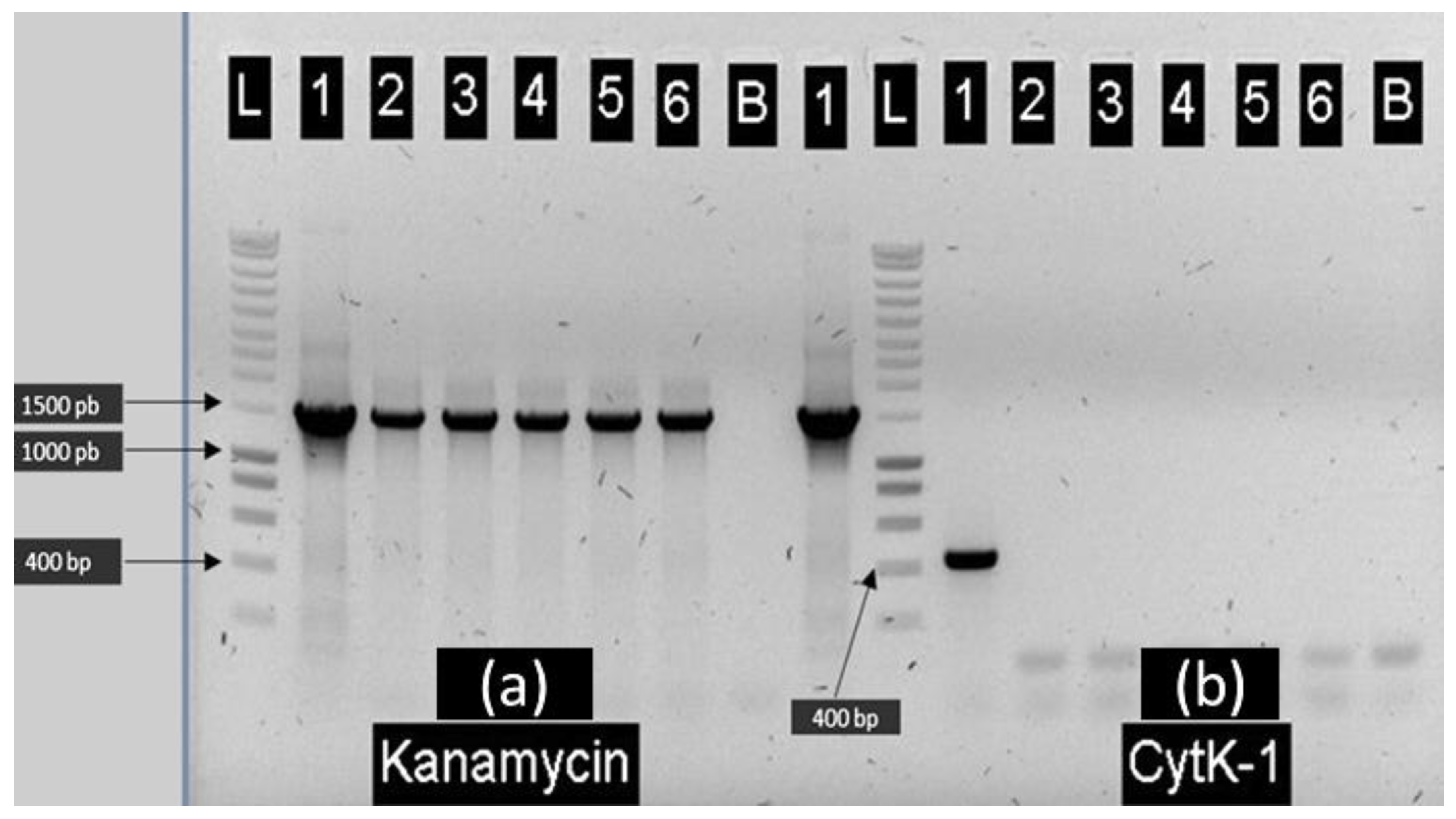 Toxins 13 00698 g001 550