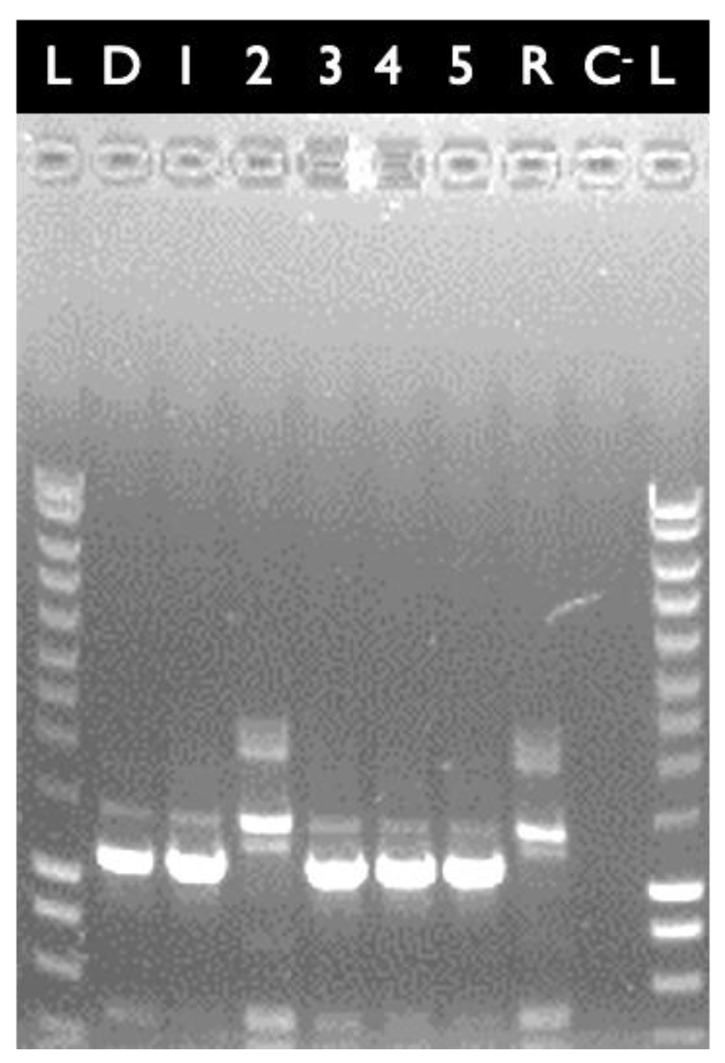 Toxins 13 00698 g002 550