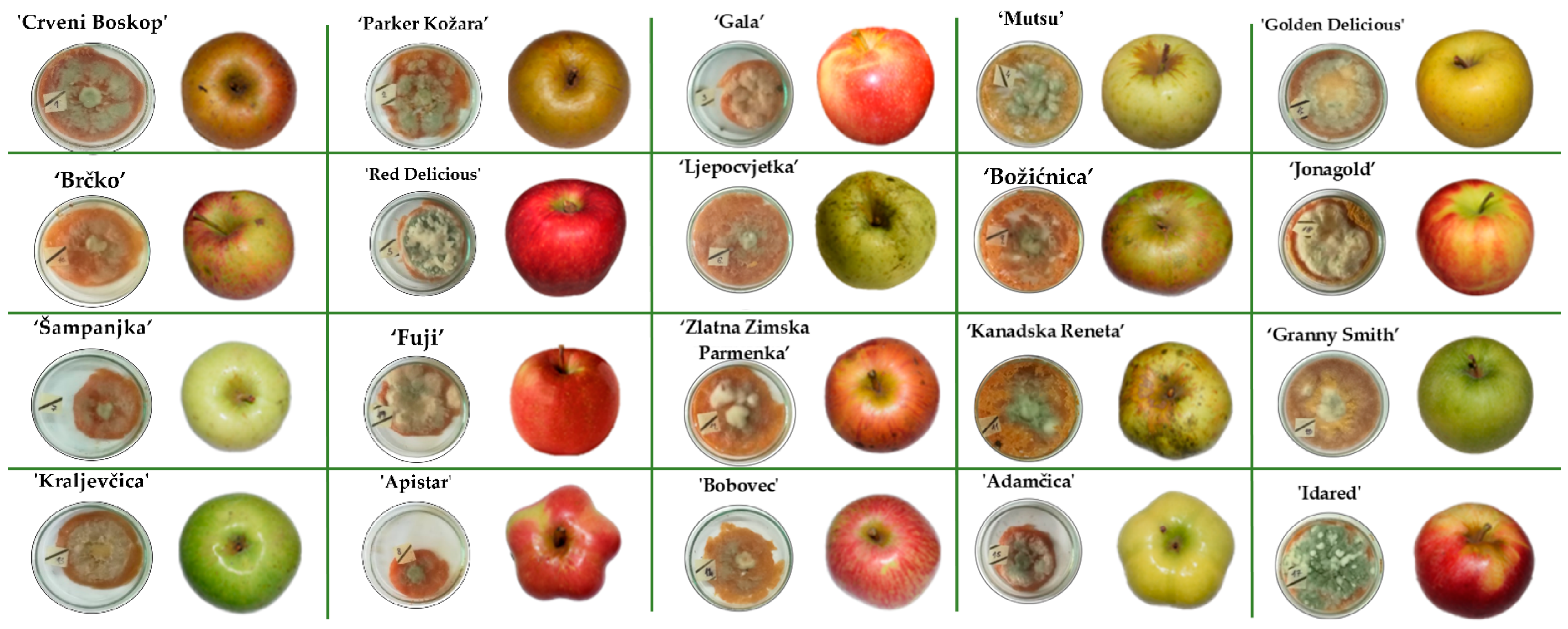 Toxins 13 00703 g002