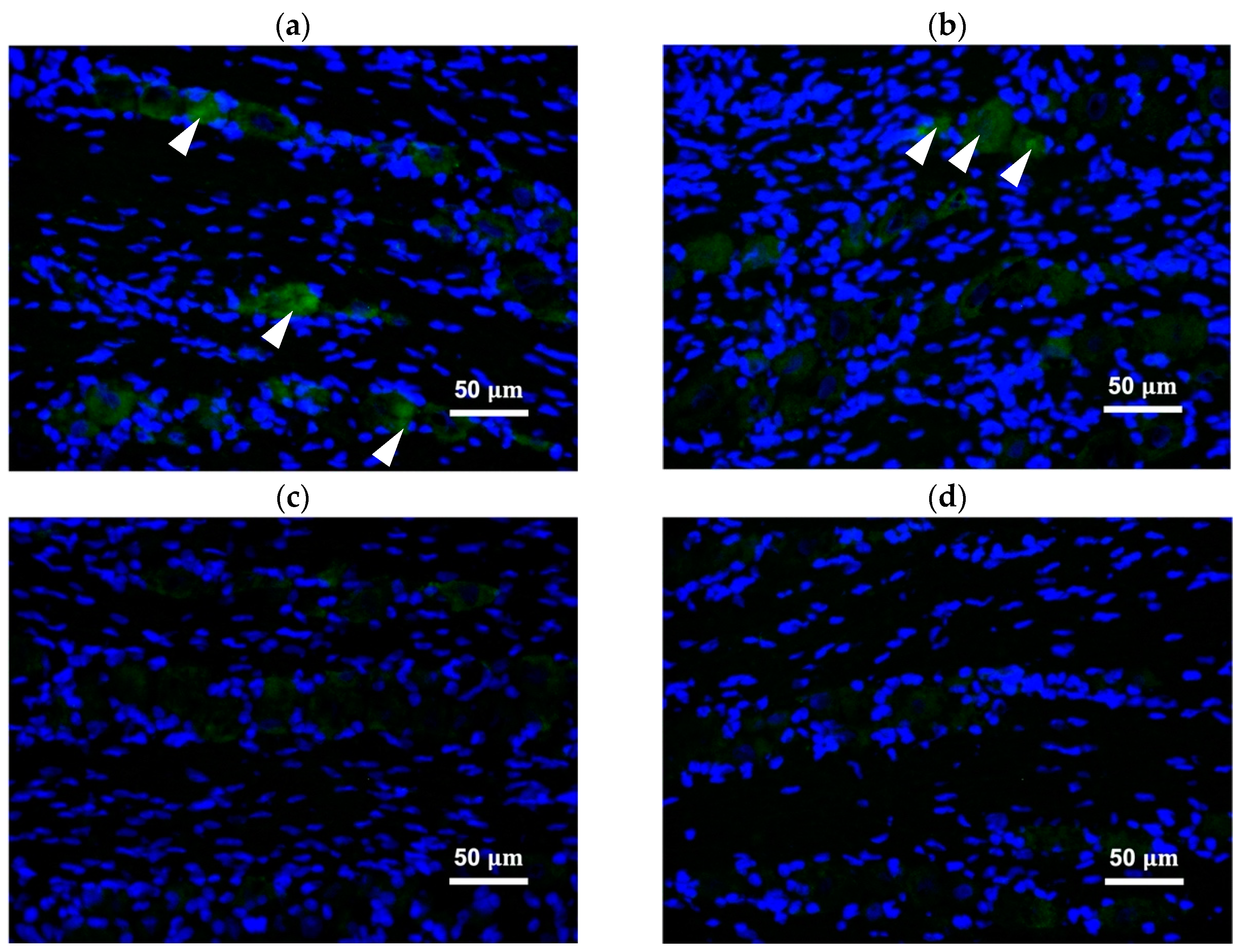 Toxins 13 00704 g003 Toxins 13 00704 g003