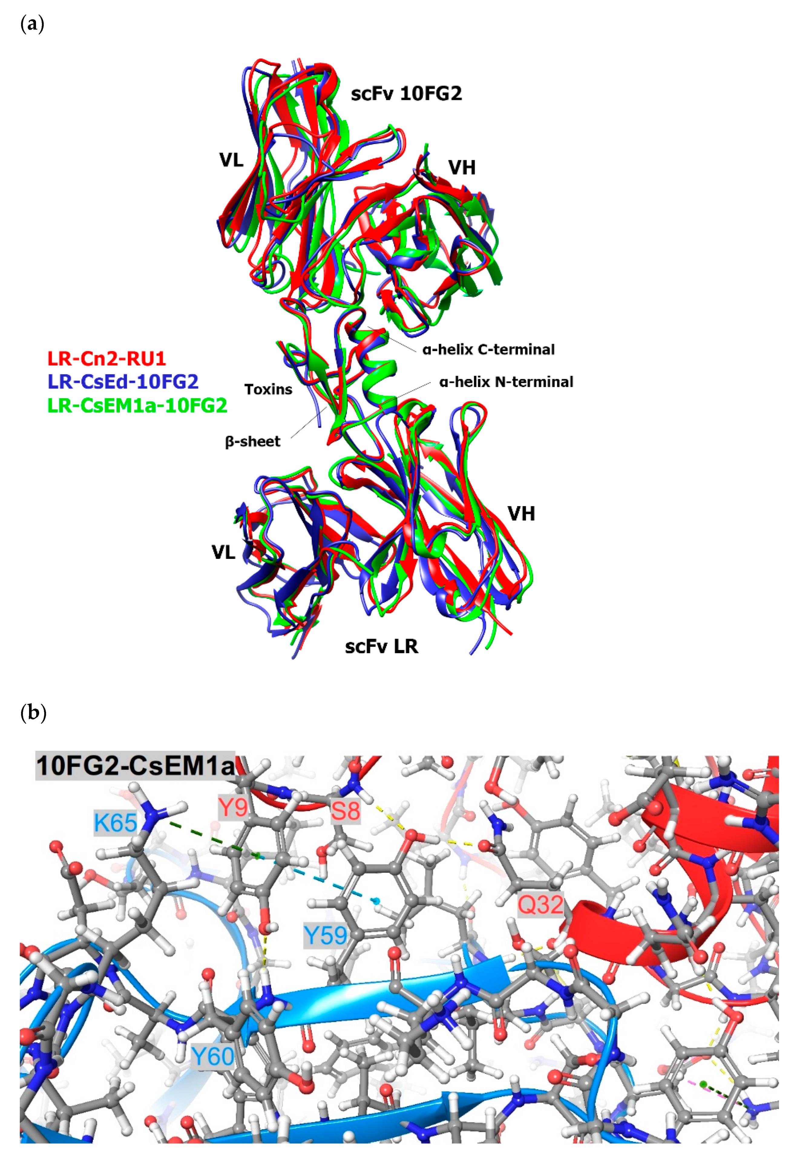 Toxins 13 00708 g003a