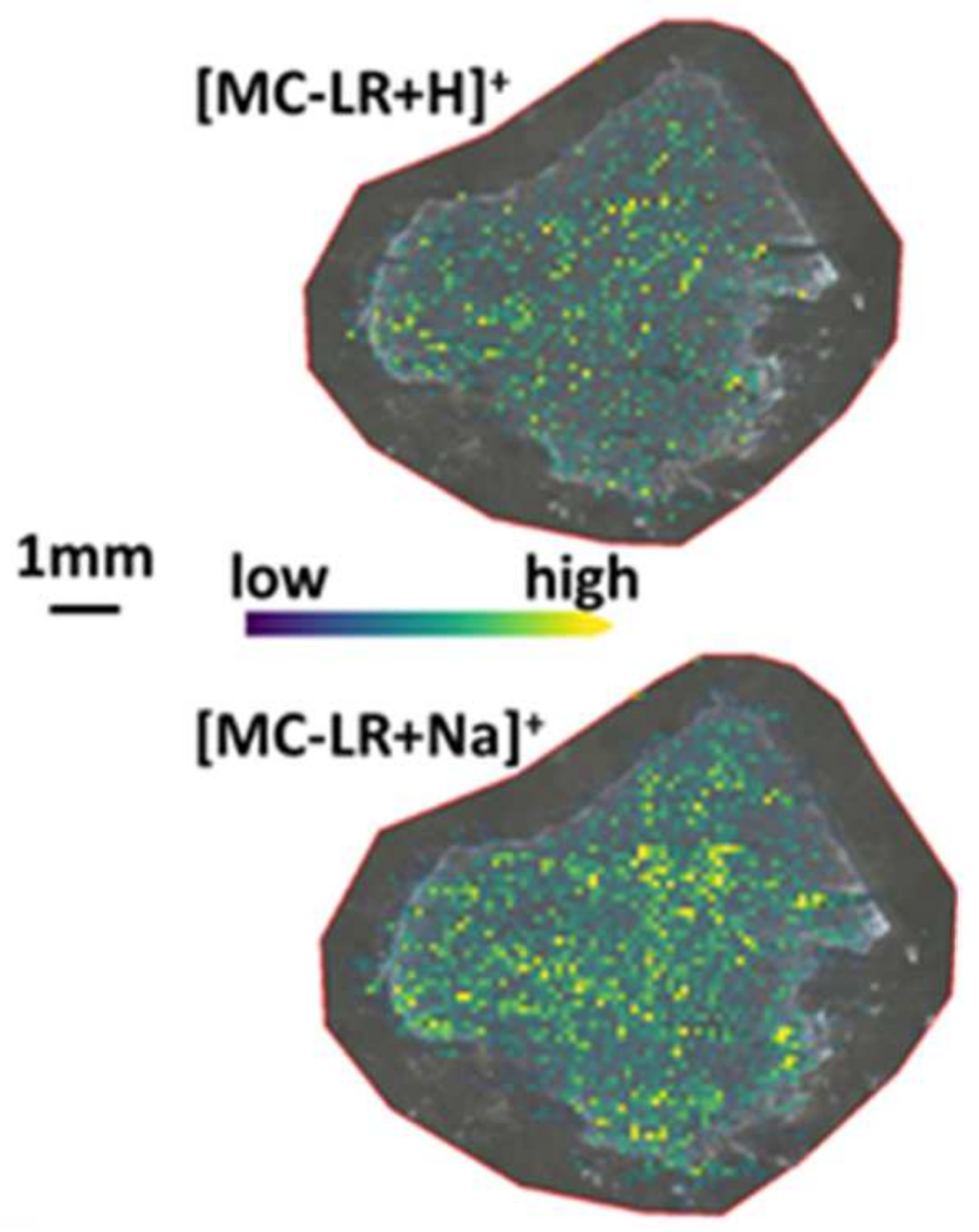 Toxins 13 00709 g003 550