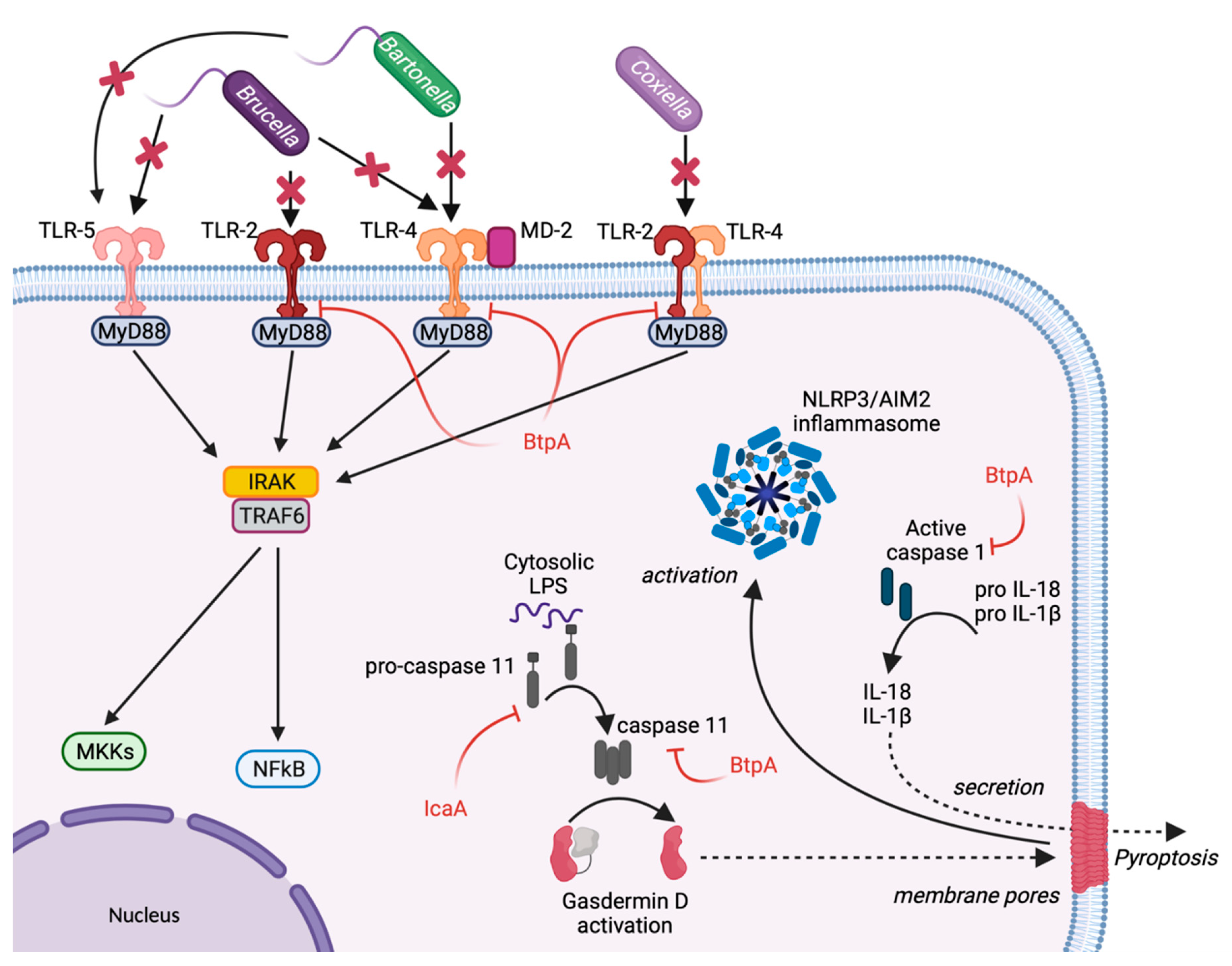 Toxins 13 00713 g001