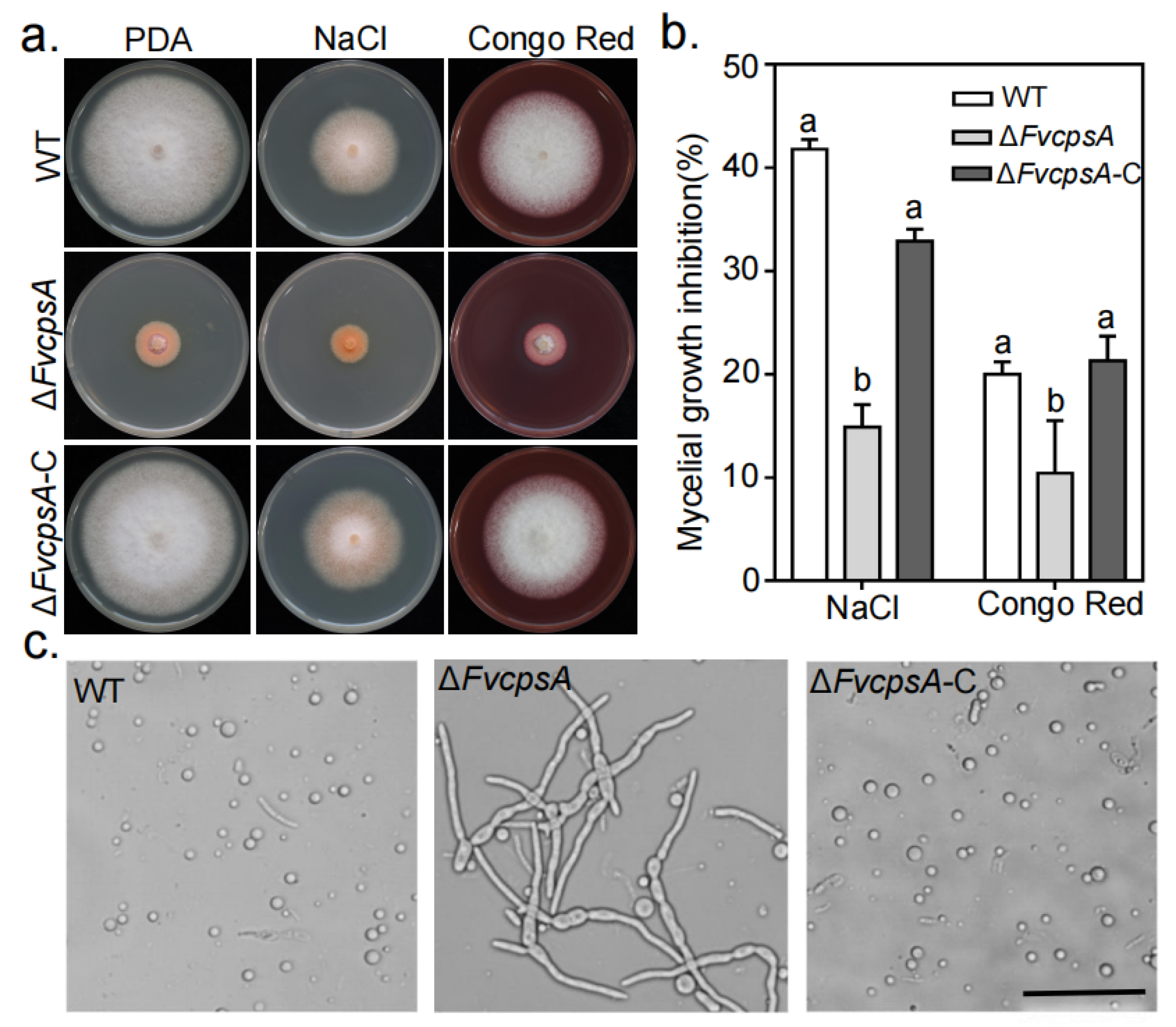 Toxins 13 00718 g003
