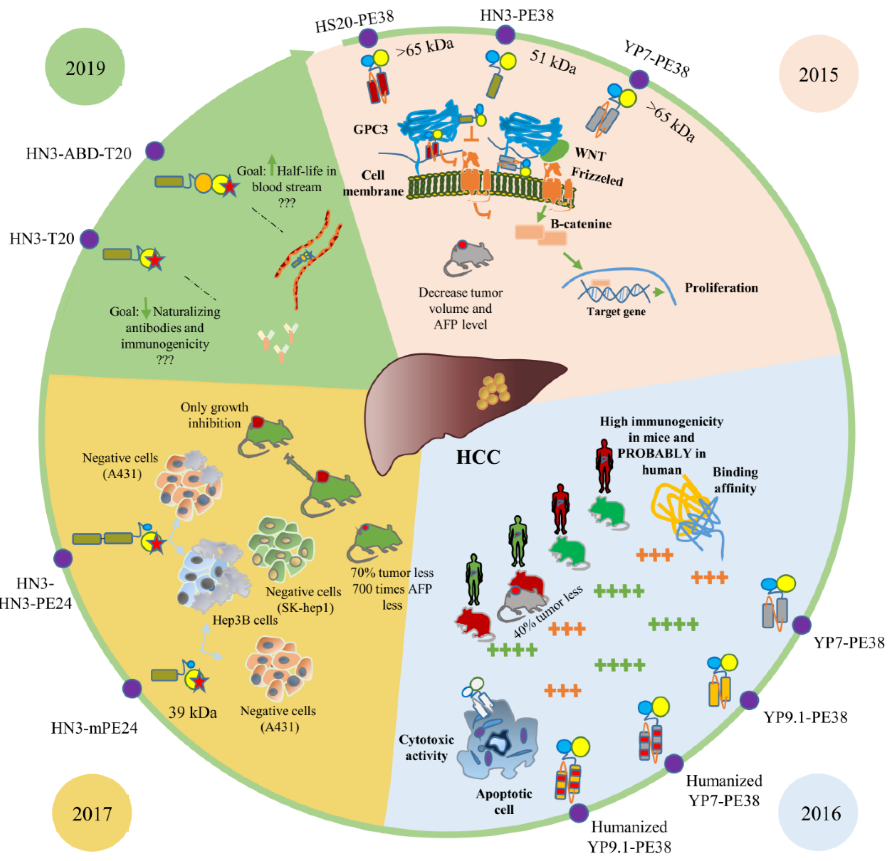 Immunotoxins Immunotherapy against Hepatocellular Carcinoma