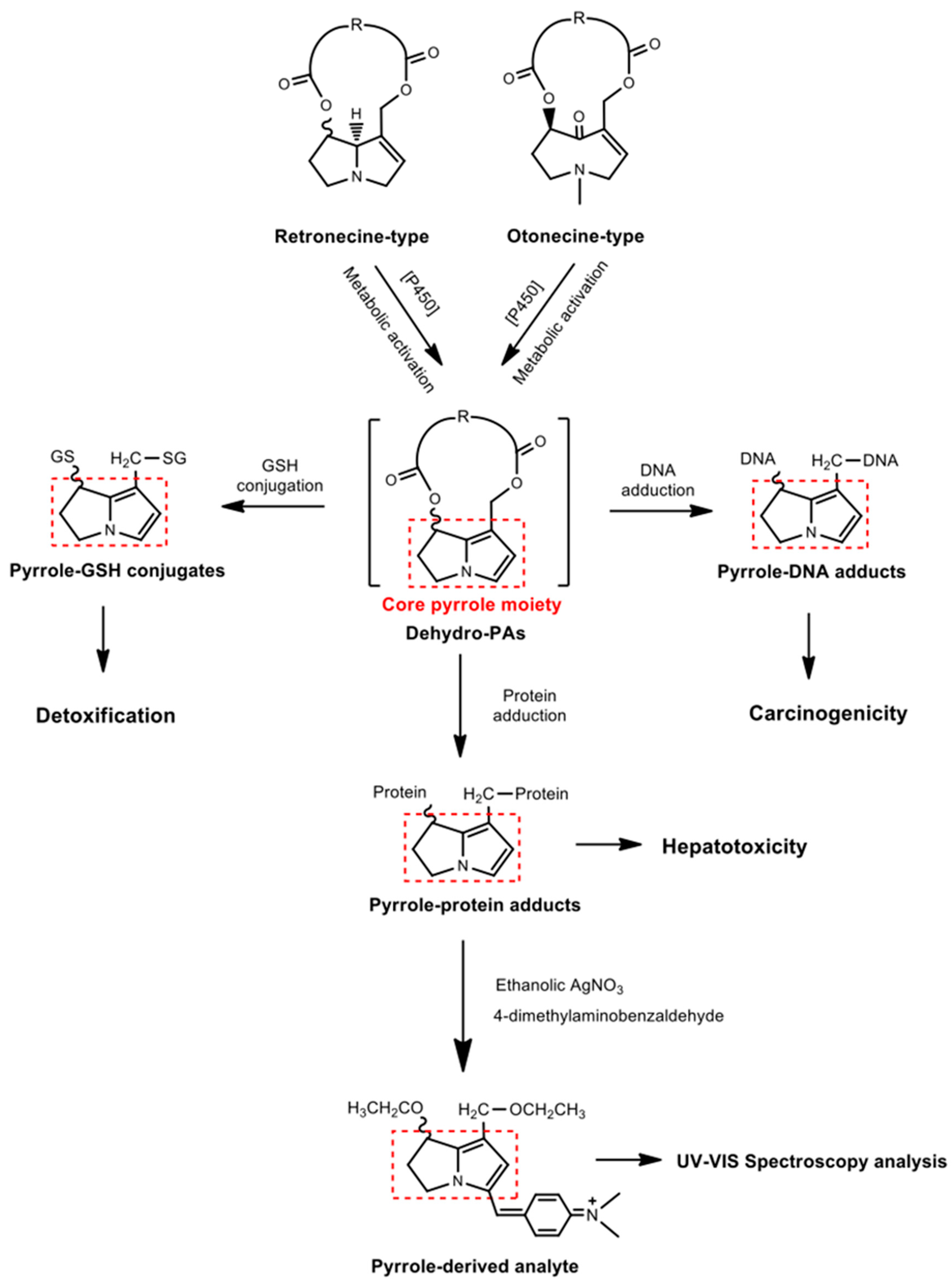 Toxins 13 00723 g002