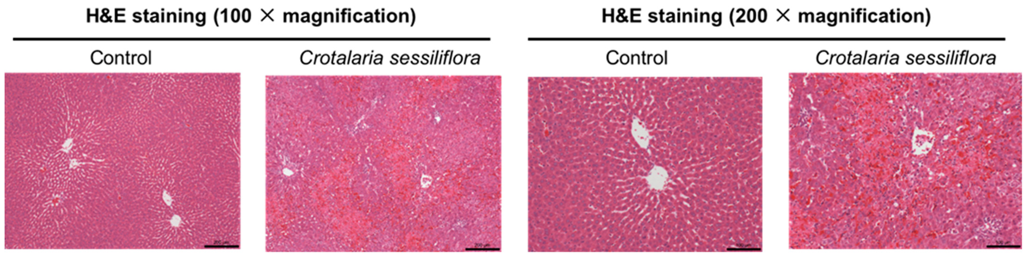 Toxins 13 00723 g003