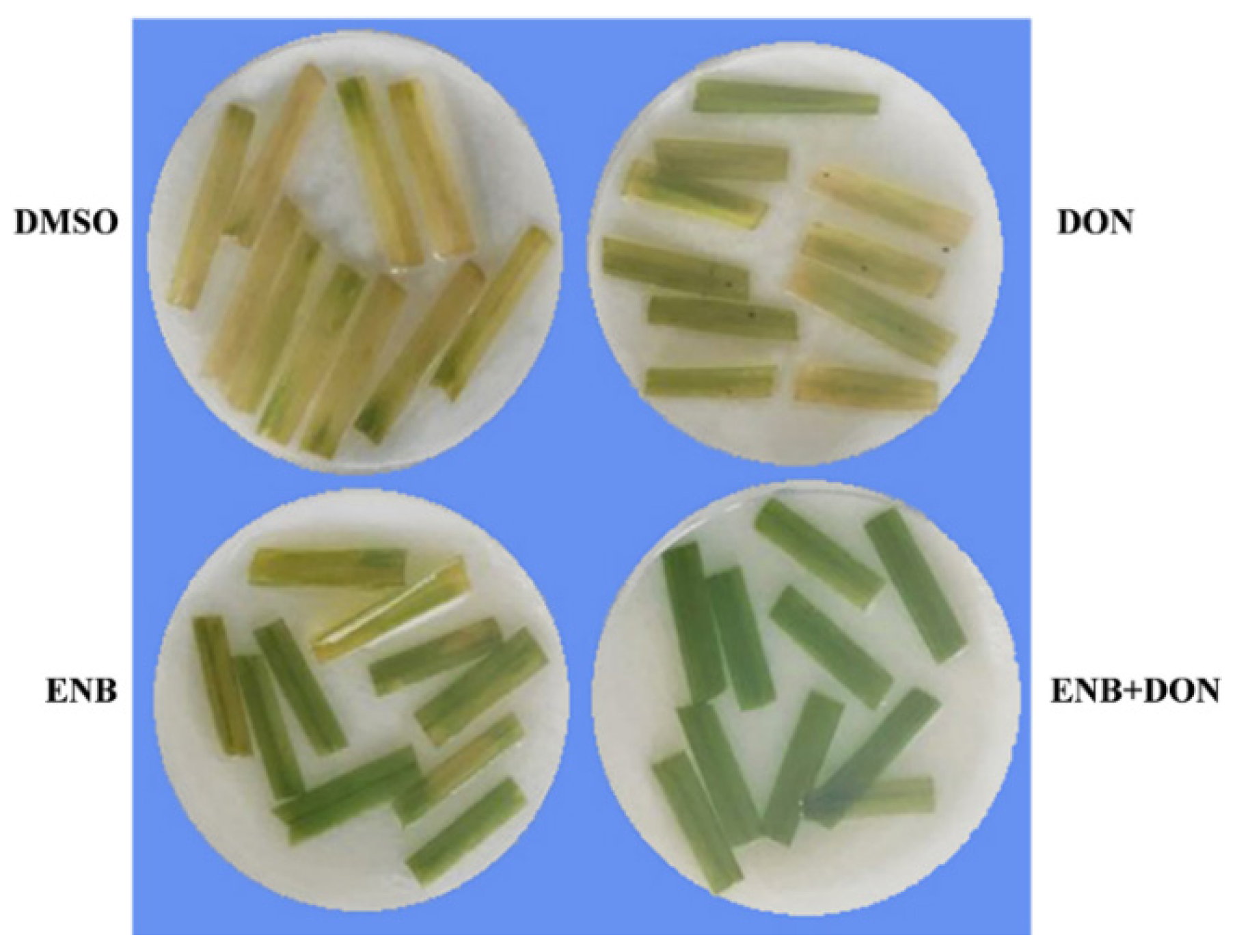 Toxins 13 00728 g006 Toxins 13 00728 g006
