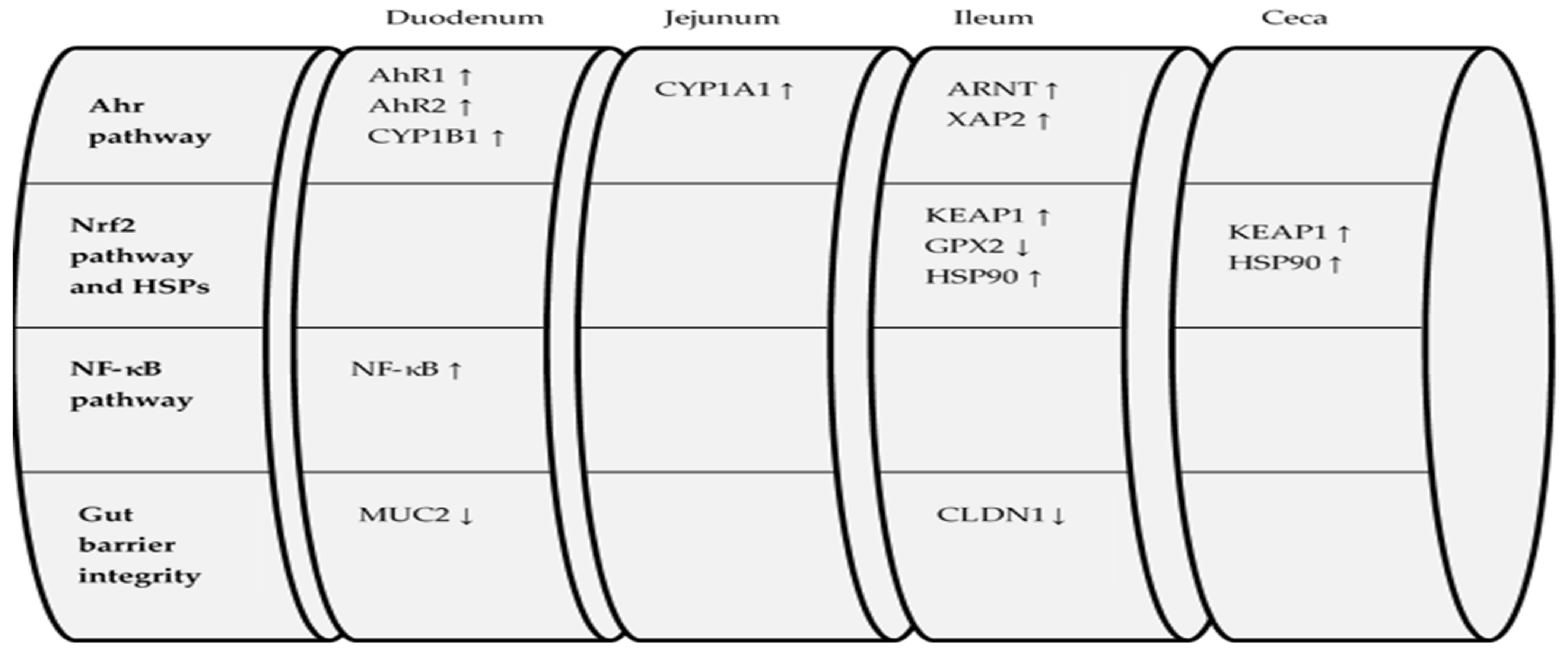 Toxins 13 00729 g001