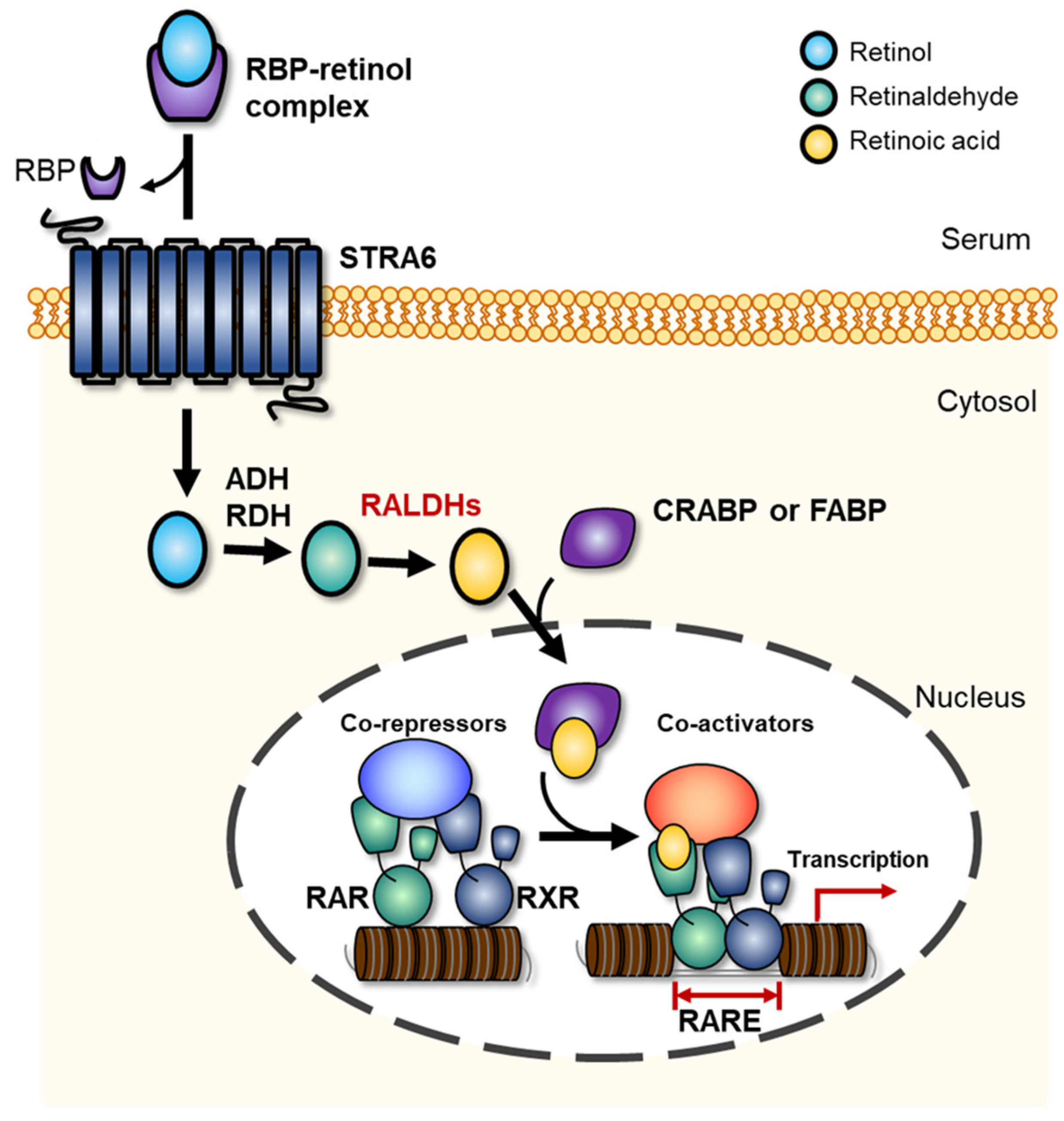 Toxins 13 00739 g002