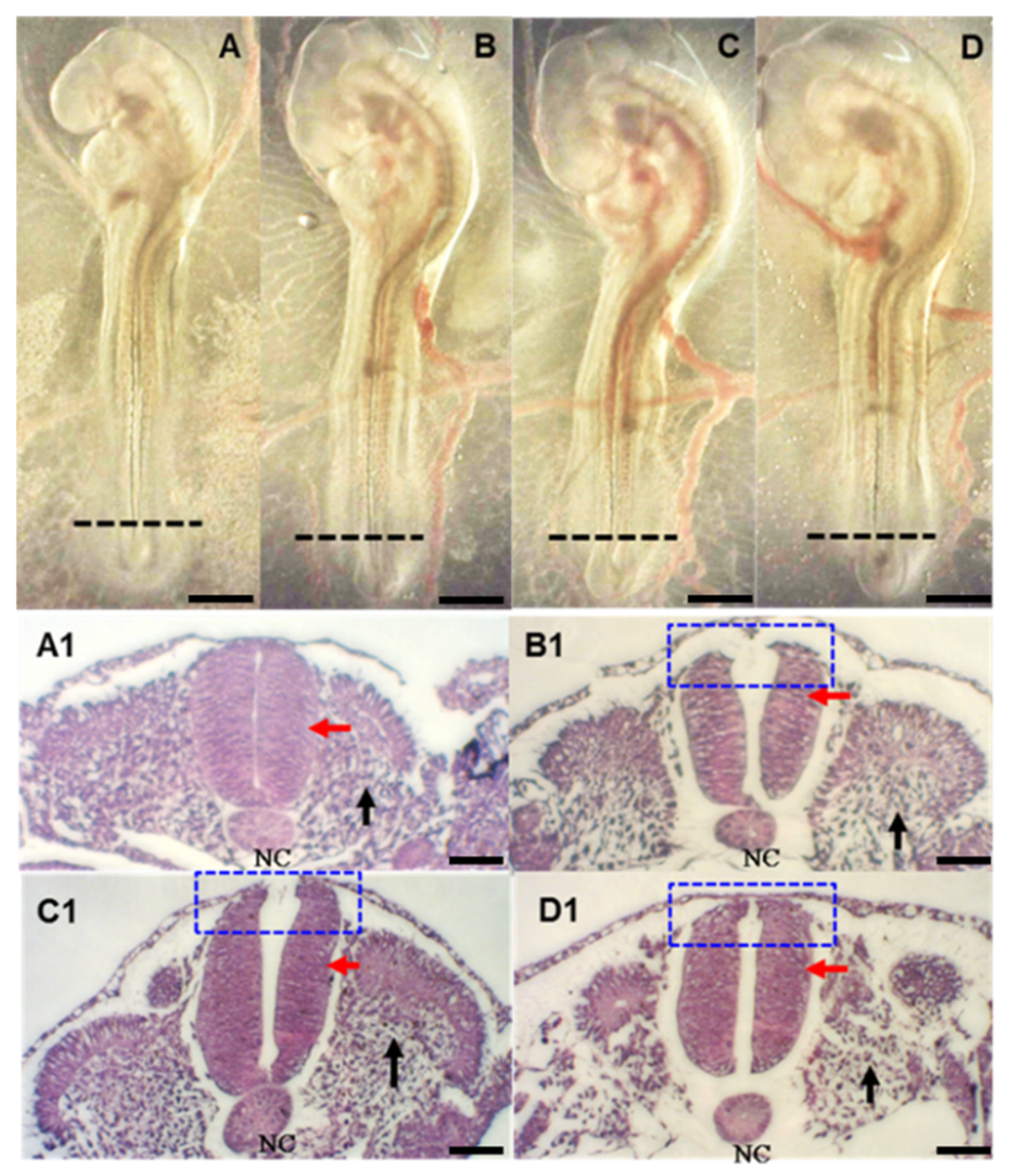 Toxins 13 00743 g001