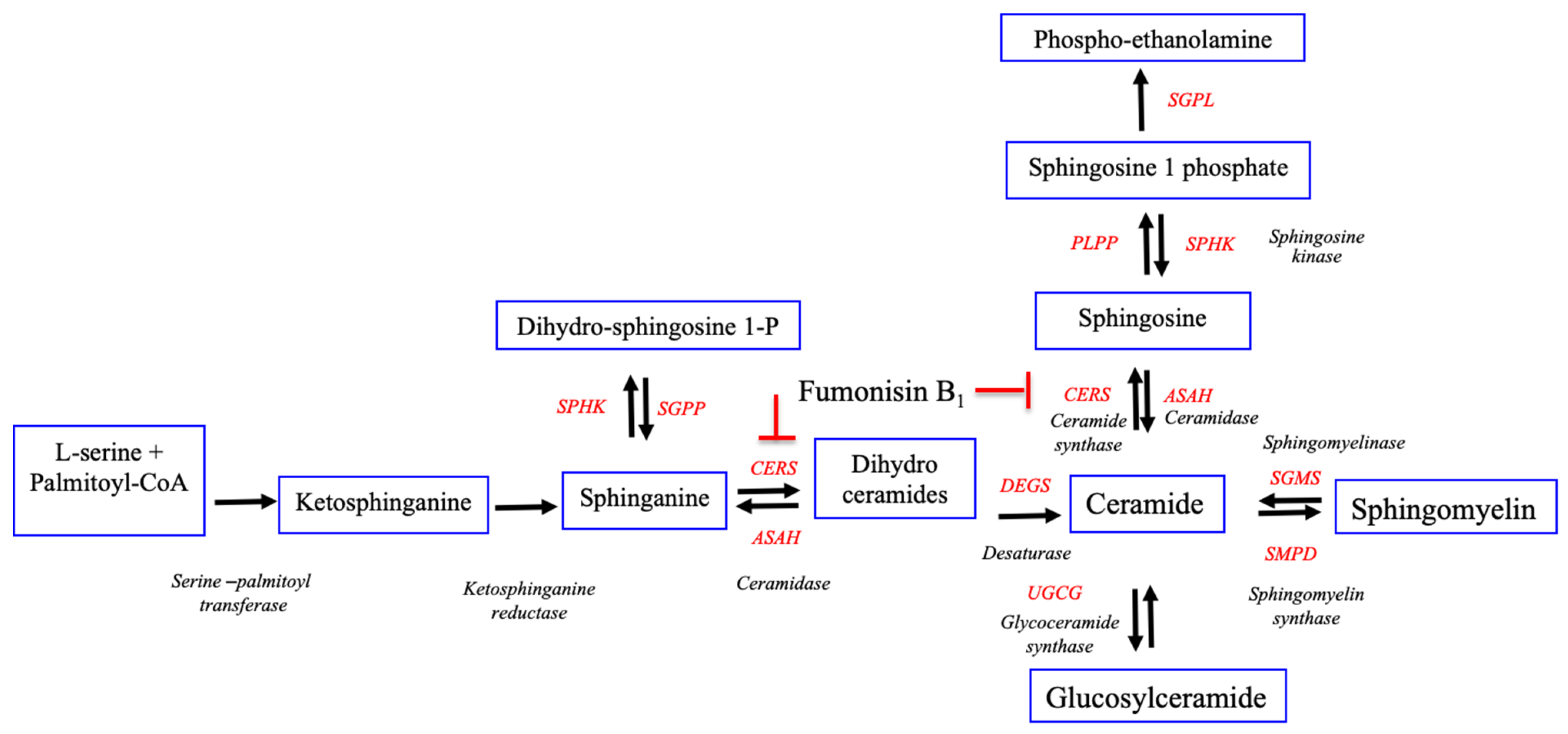 Toxins 13 00743 g006