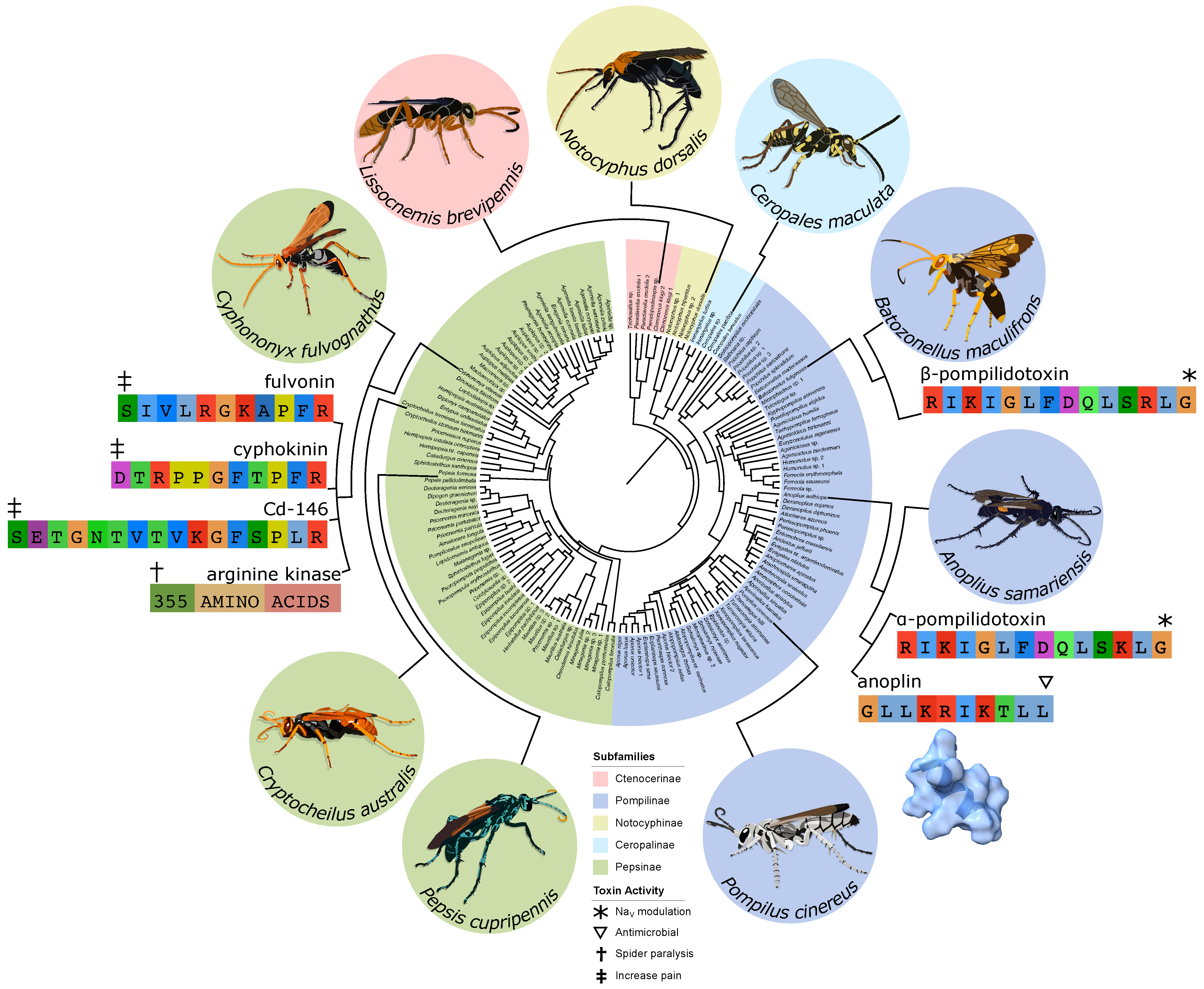Toxins 13 00744 g001