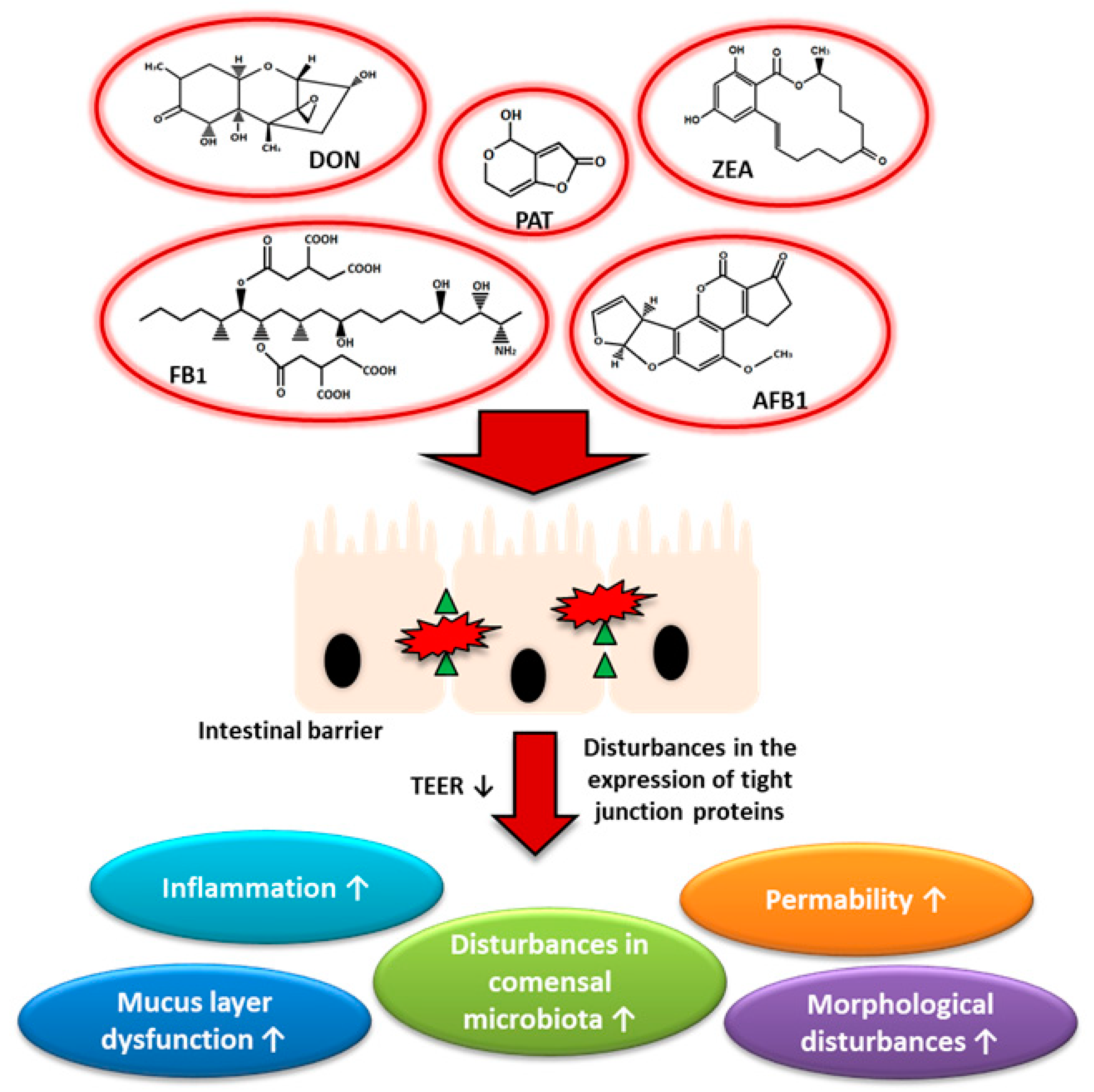 Toxins 13 00758 g003 Toxins 13 00758 g003