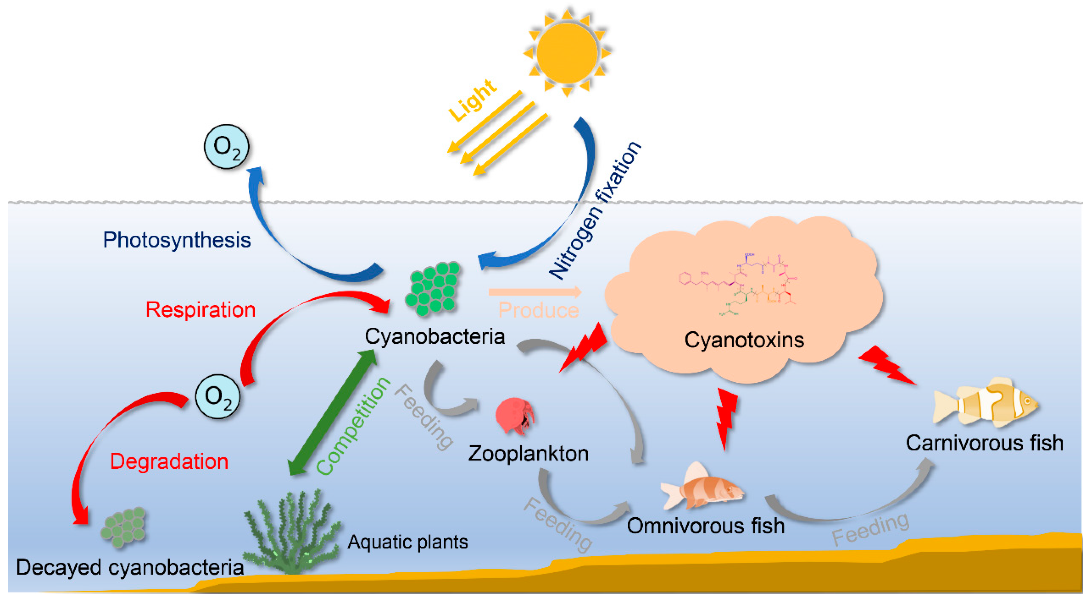 Toxins 13 00765 g001 Toxins 13 00765 g001