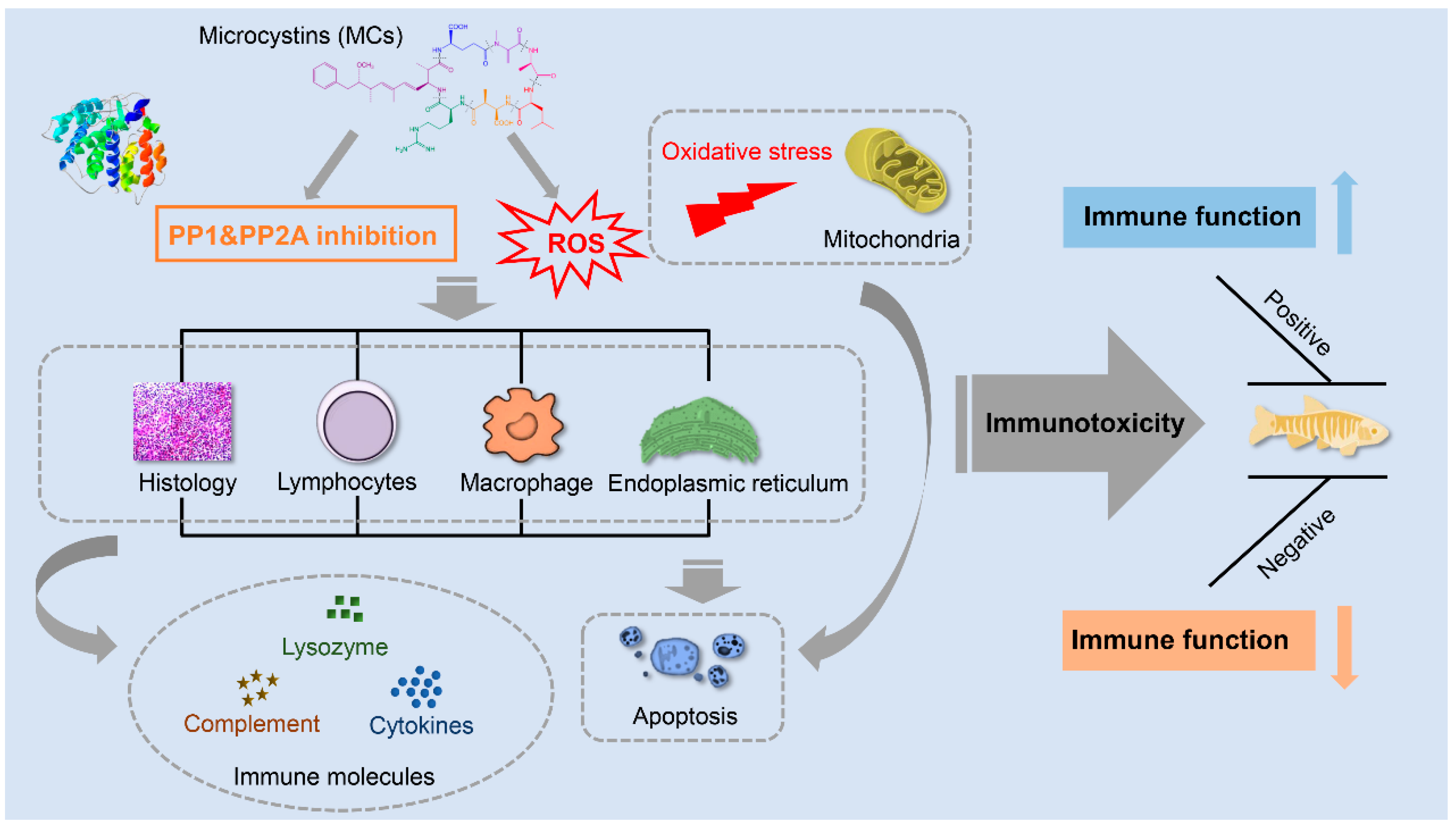 Toxins 13 00765 g003 Toxins 13 00765 g003