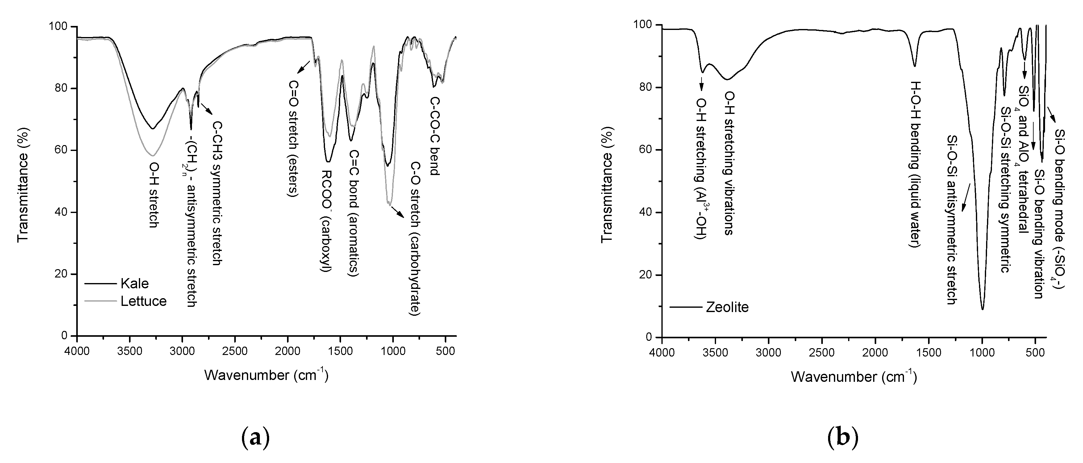 Toxins 13 00771 g002 Toxins 13 00771 g002