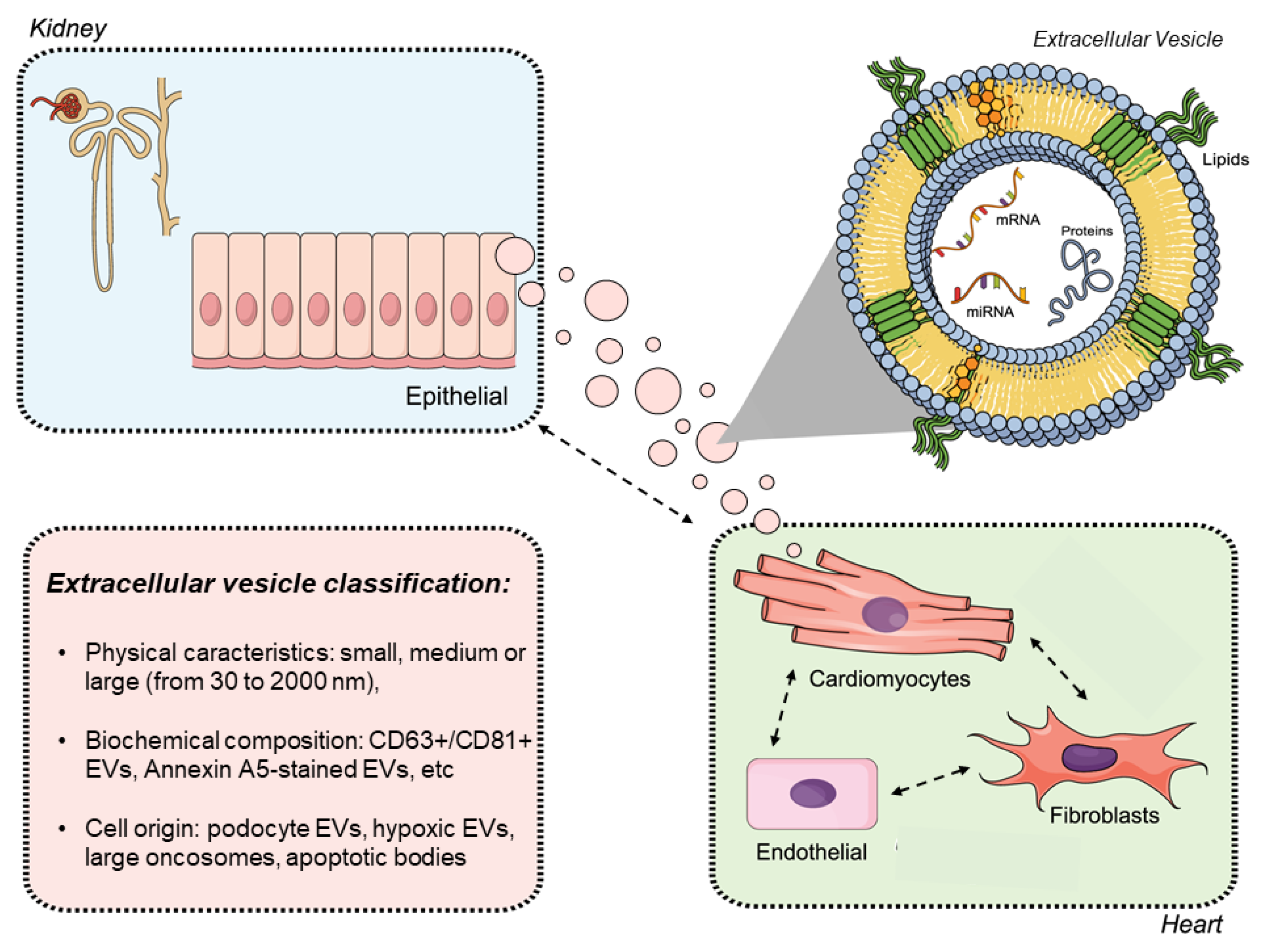 Toxins 13 00778 g004