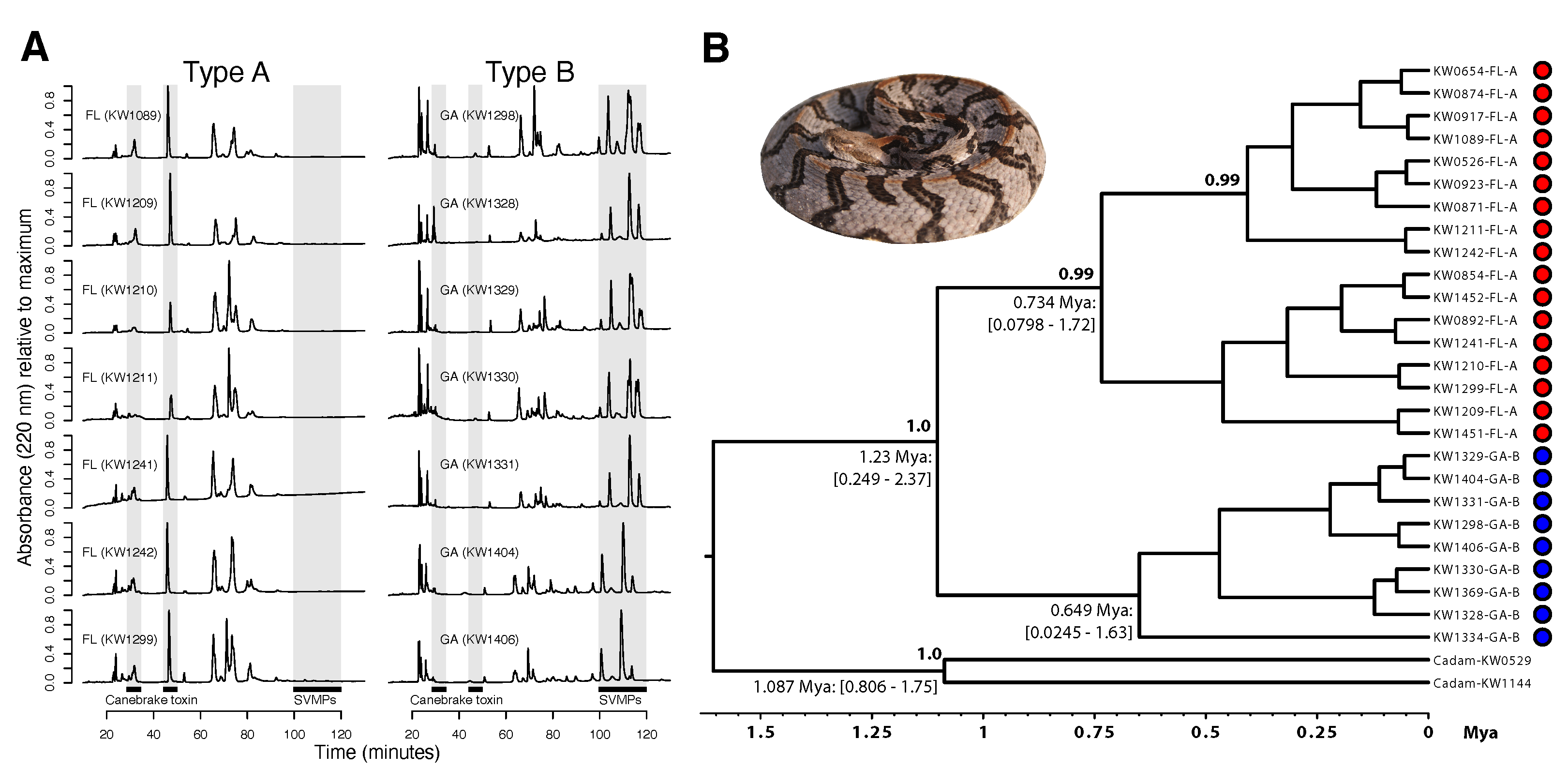 Toxins 13 00782 g001