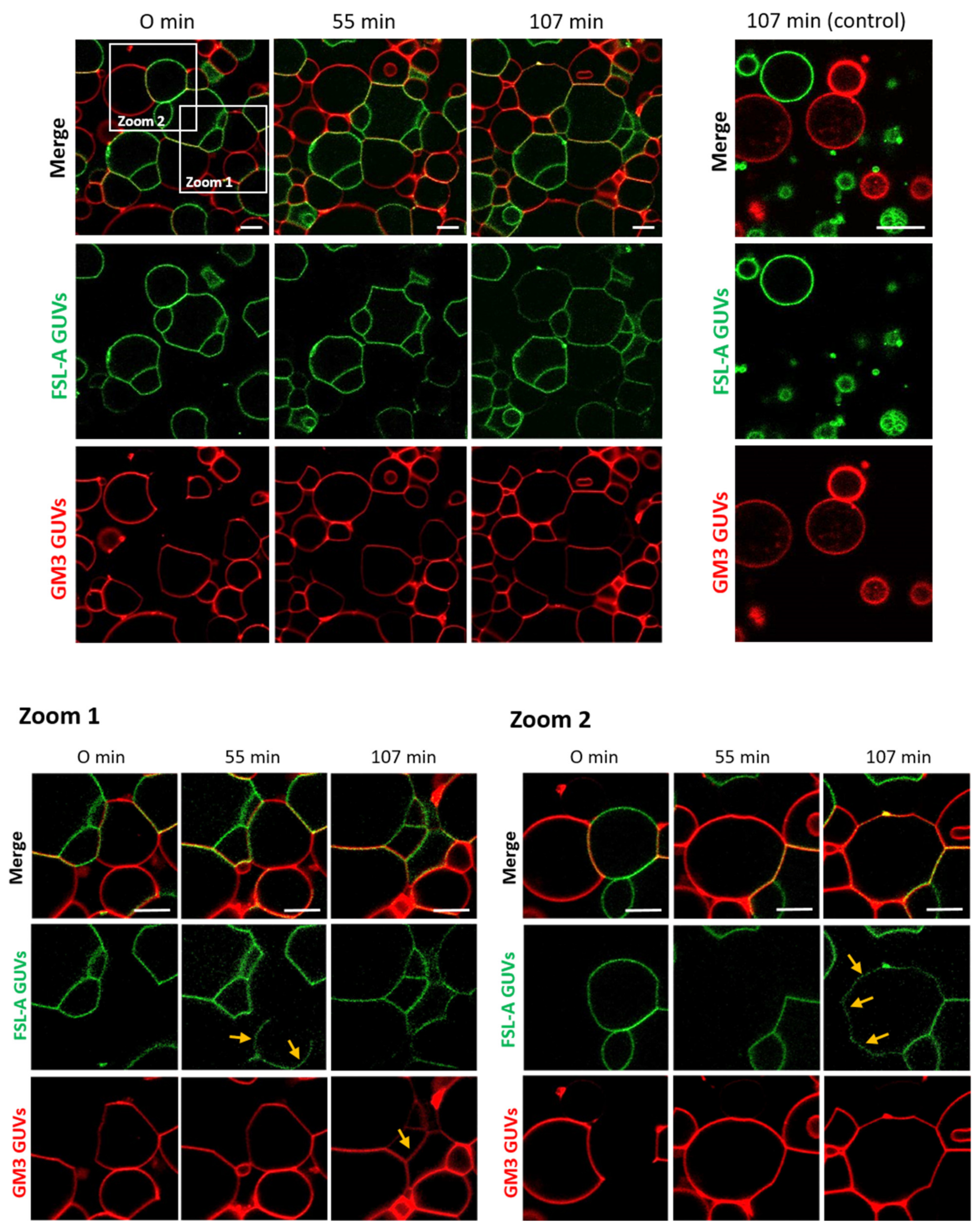 Toxins 13 00792 g002
