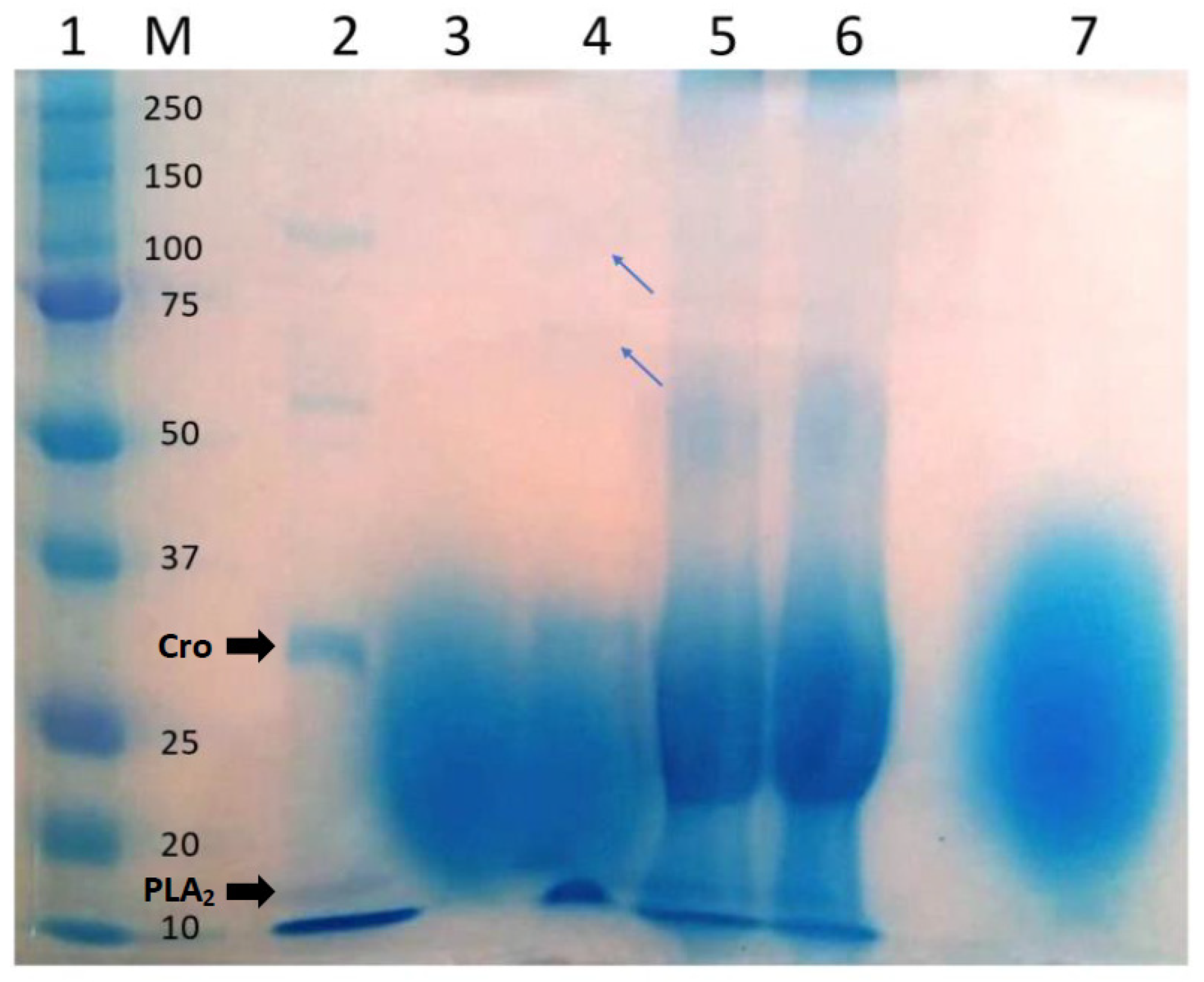 Toxins 13 00801 g003
