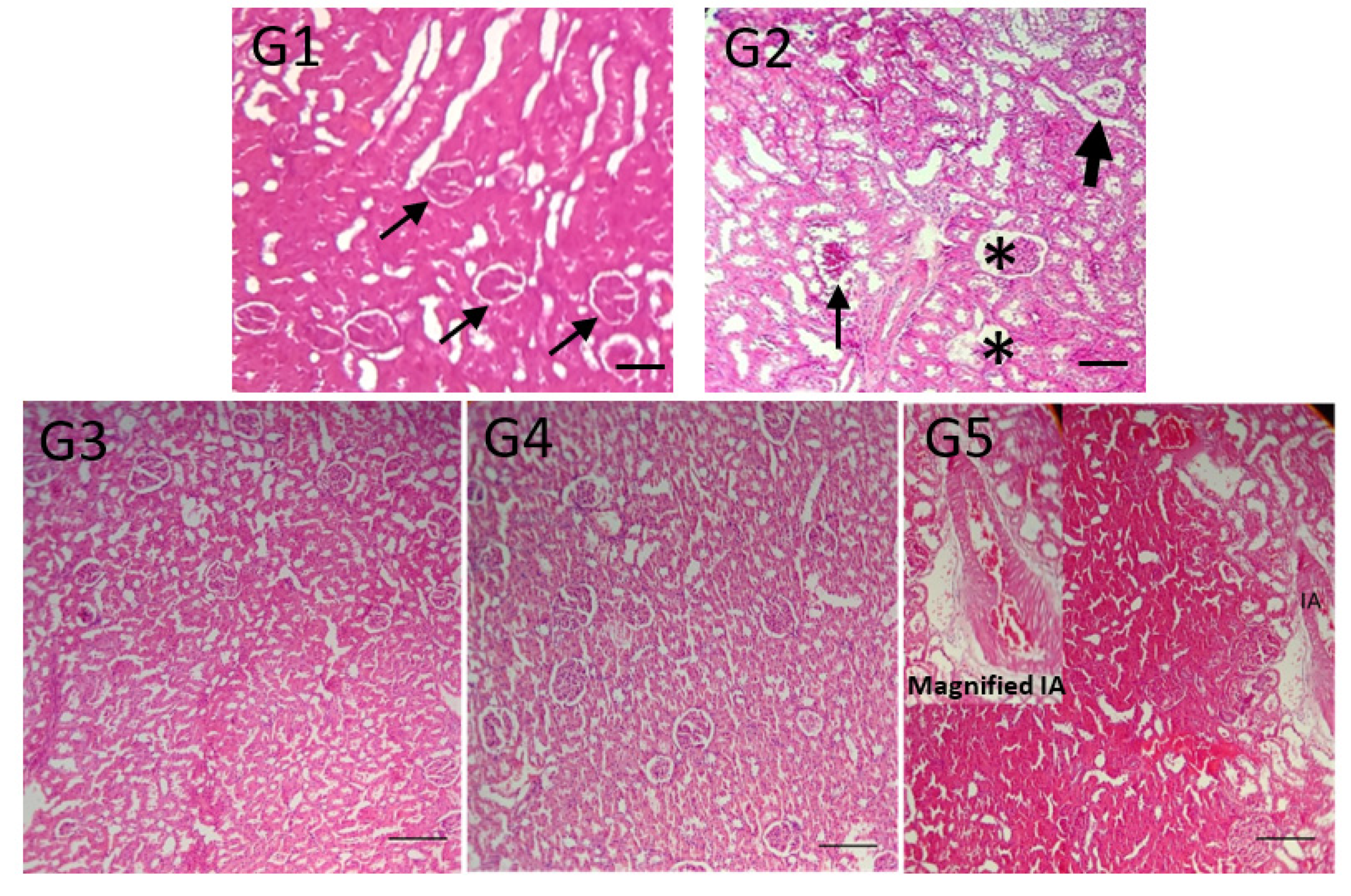 Toxins 13 00801 g005