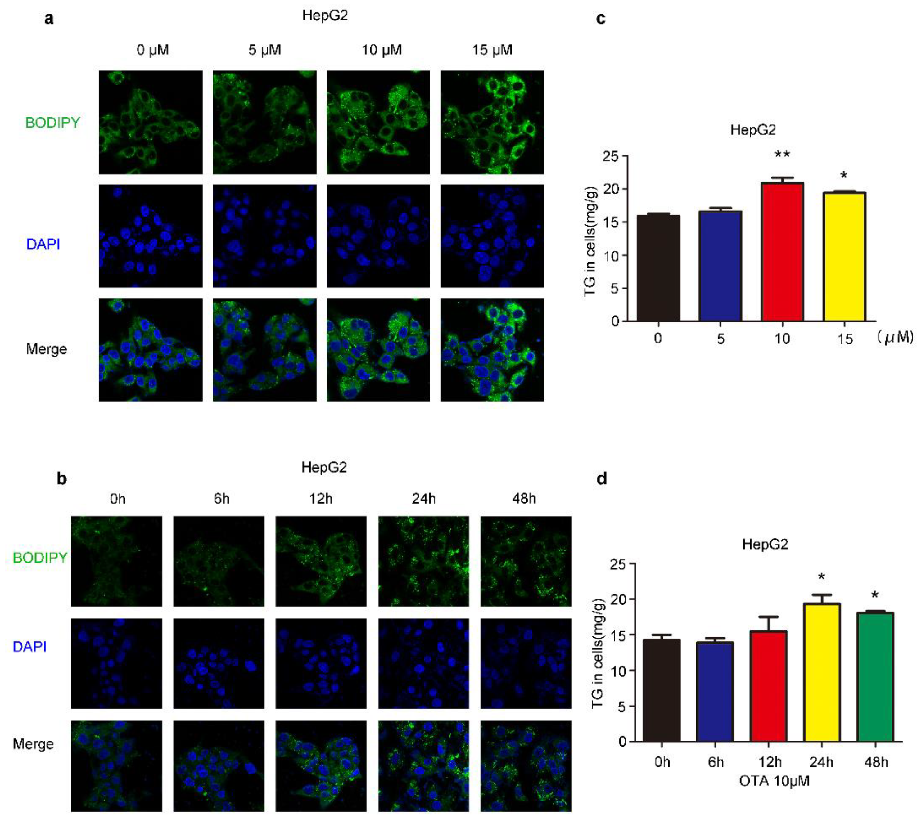 Toxins 13 00802 g001