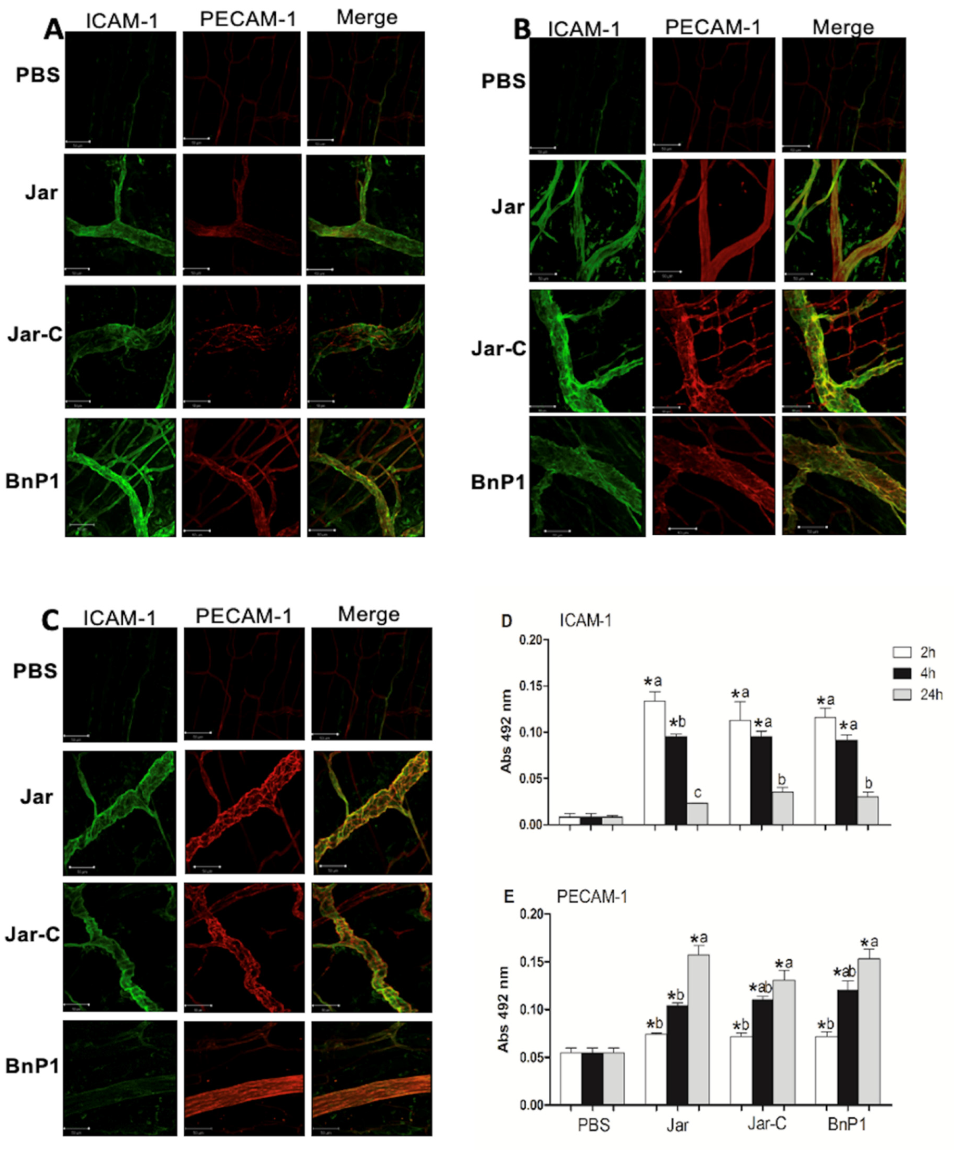 Toxins 13 00803 g001 550